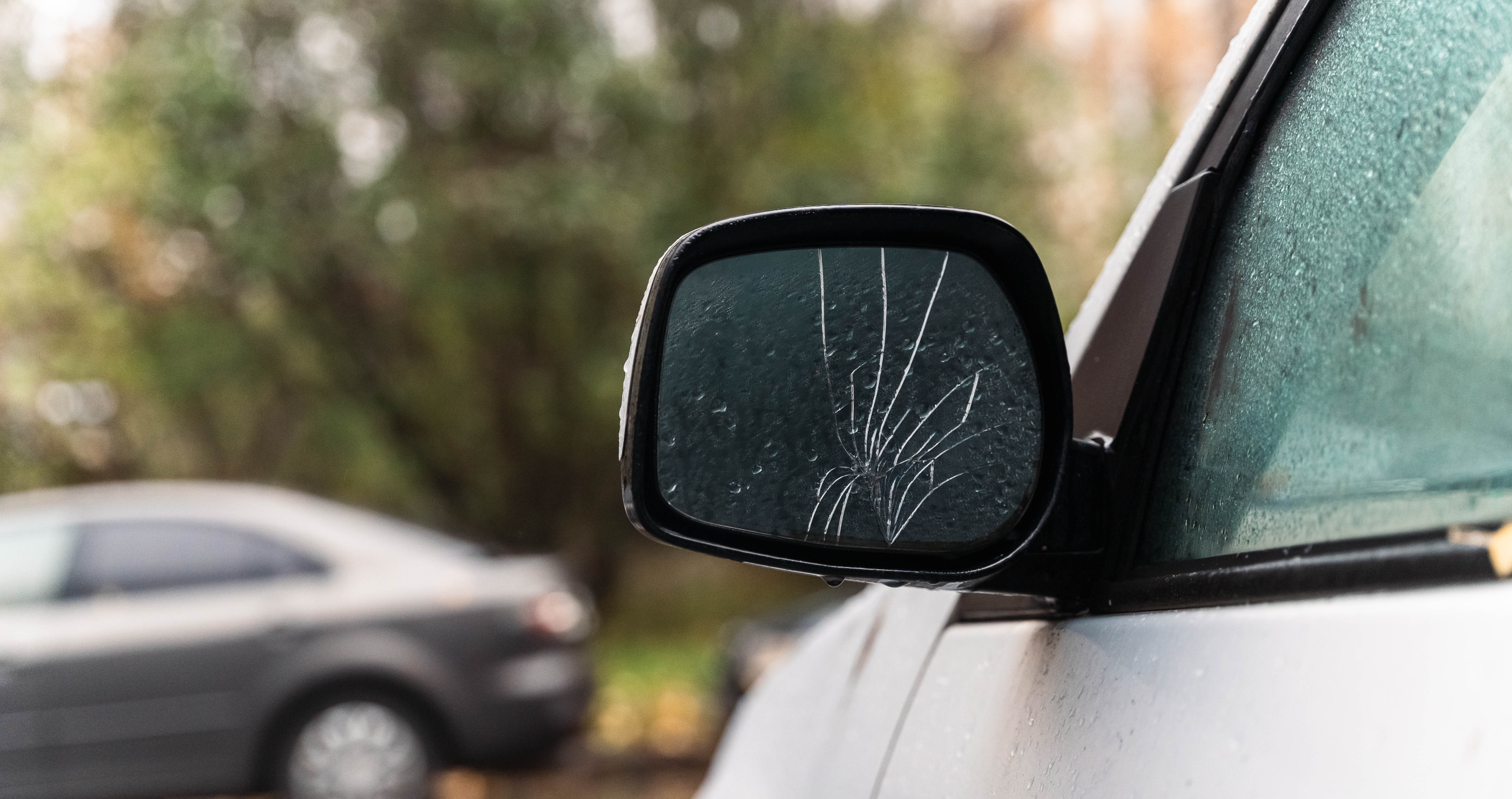 Woodpecker Is The Surprise Culprit Behind Acts Of Car Vandalism