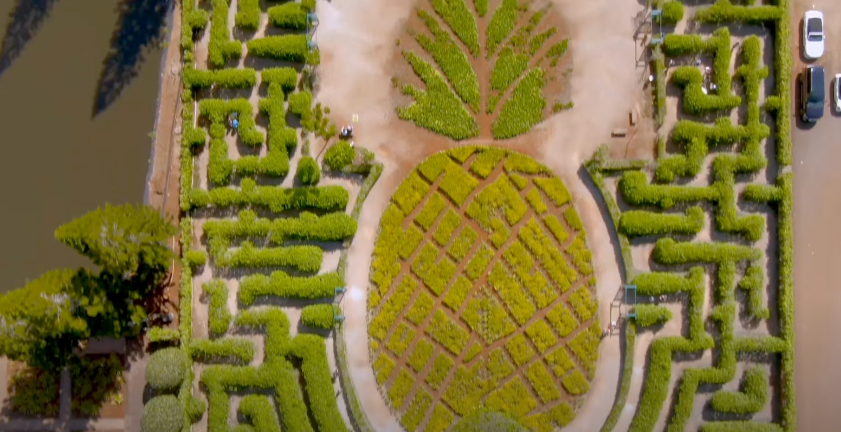 hawaii maze