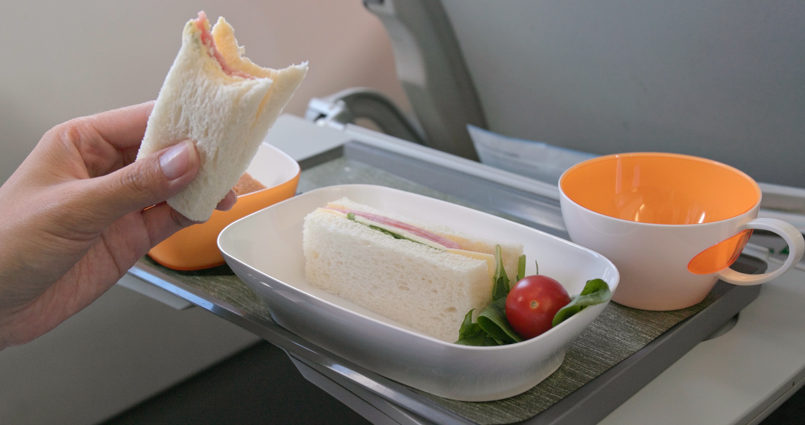 10 Must-Have Items Flight Attendants Recommend Traveling With Homemade Snacks Like A Sandwich
