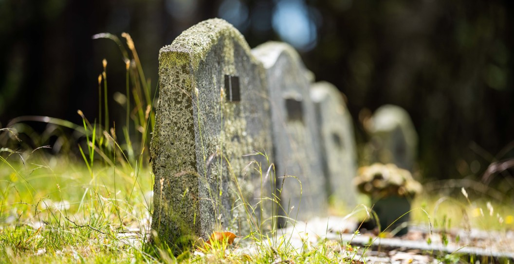 Feral Animals Are Digging Up The Graves At Cemetery And Families Are Angry