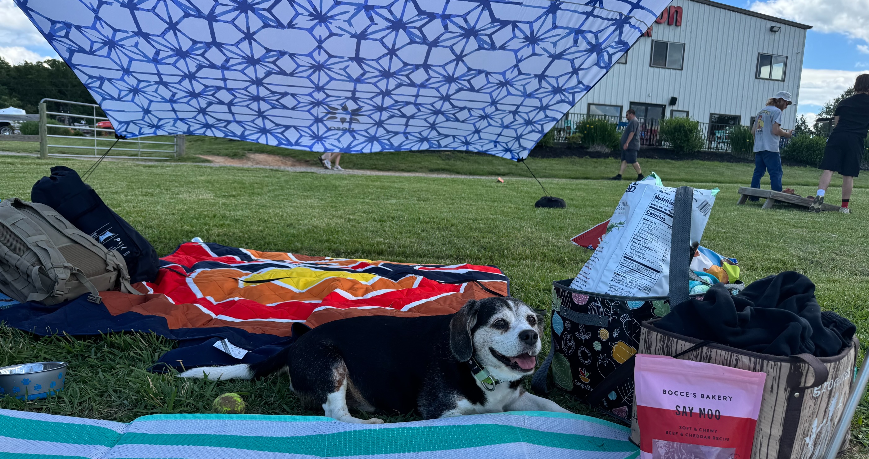 Lake Perfect Picnic Tent or Covering