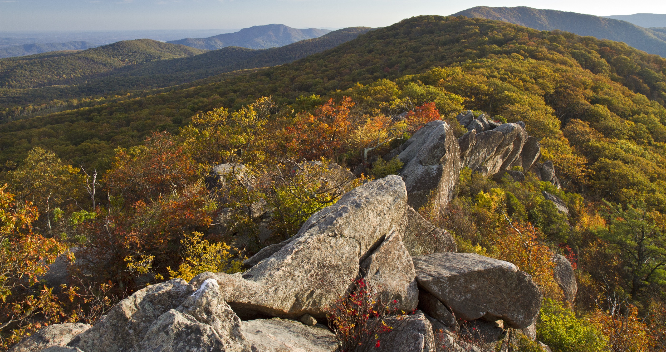 Mary's Rock- Shenandoah National Park