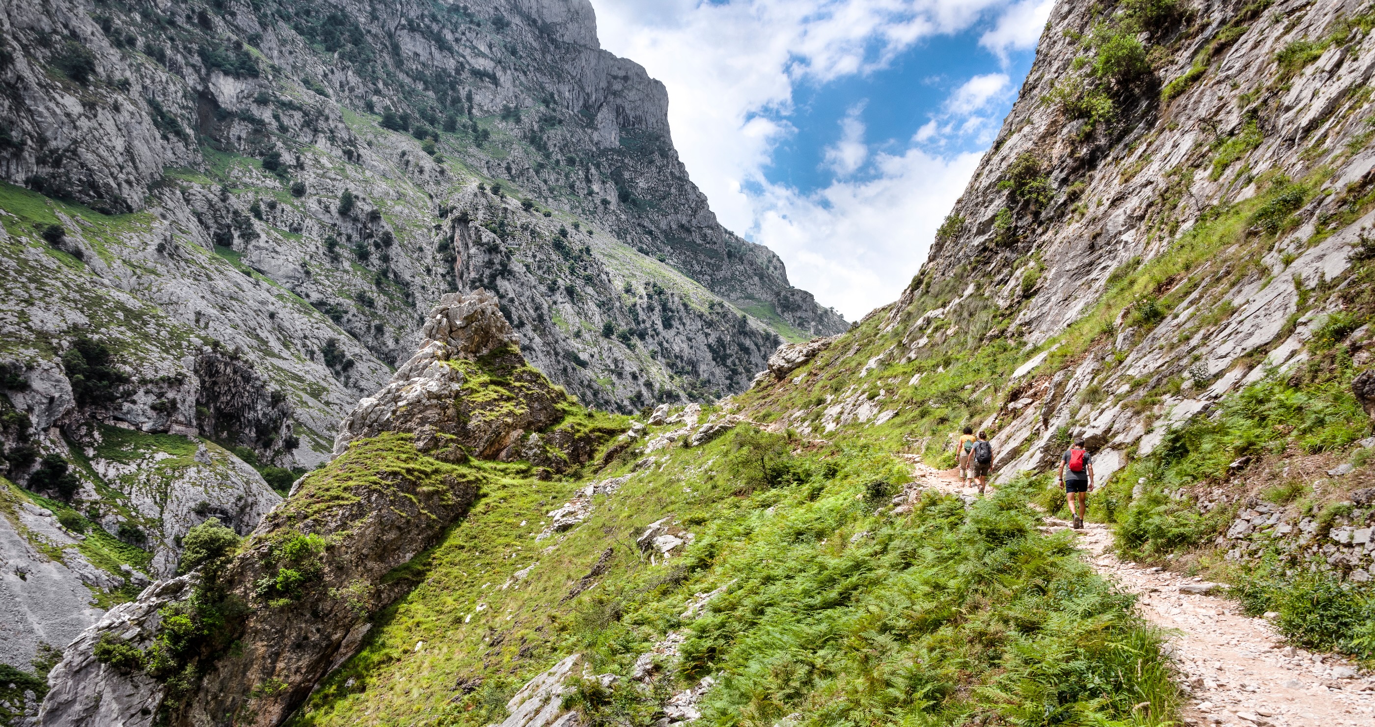 Tourist Hits Rock Bottom As He Faces Major Fines For Stupid Stunt With Rock