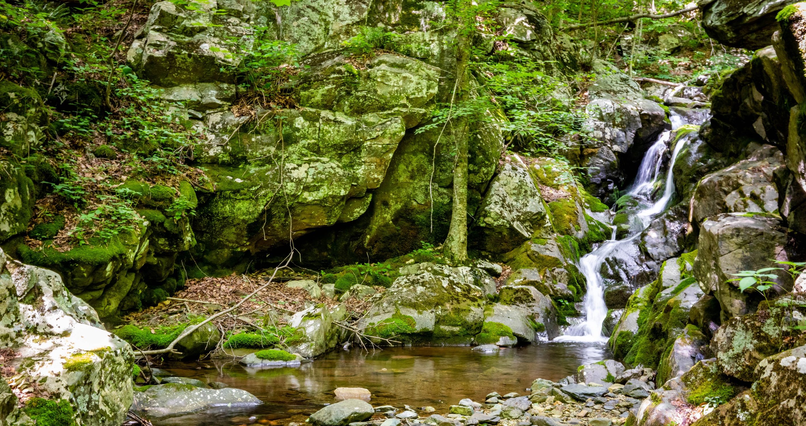 Whiteoak Canyon Falls- Shenandoah National Park