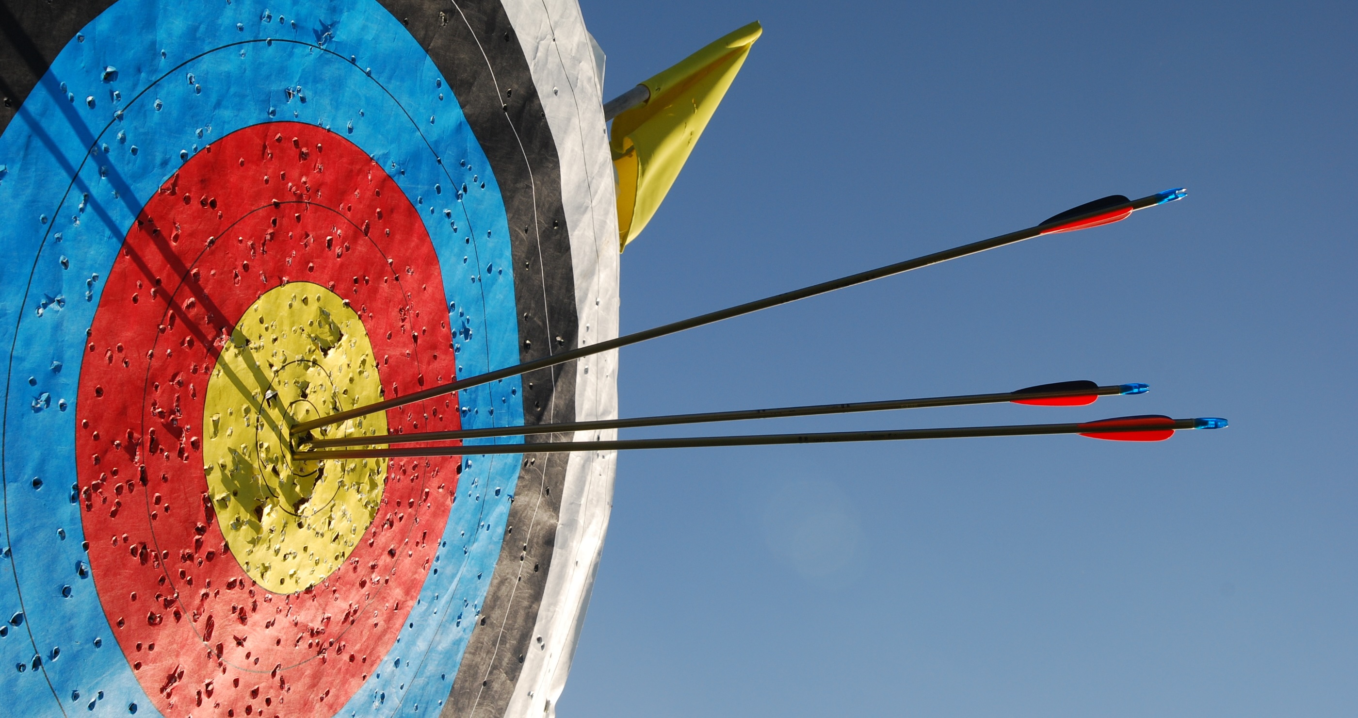 archery bulls eye target