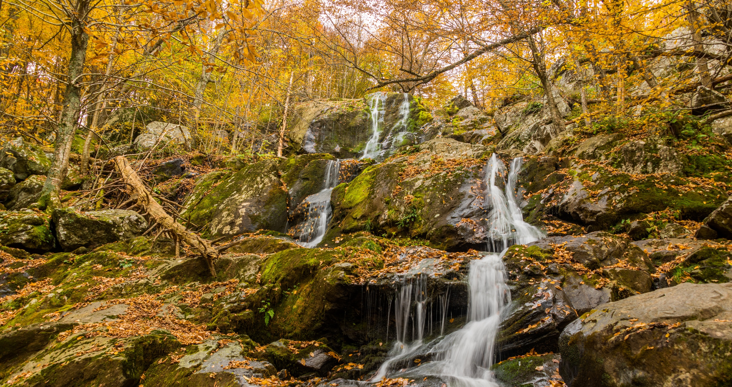 best places to hike in Virginia