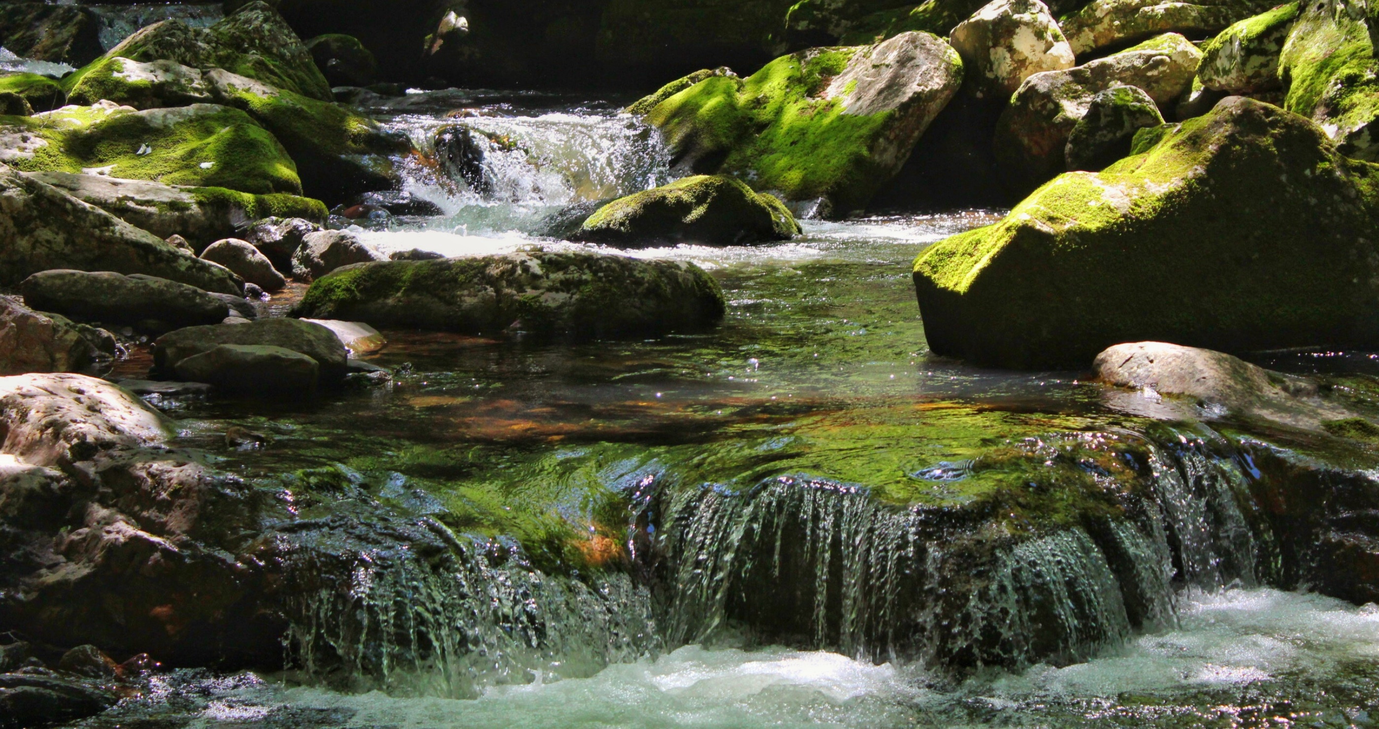 best places to hike in Virginia Cascades National Recreation Trail