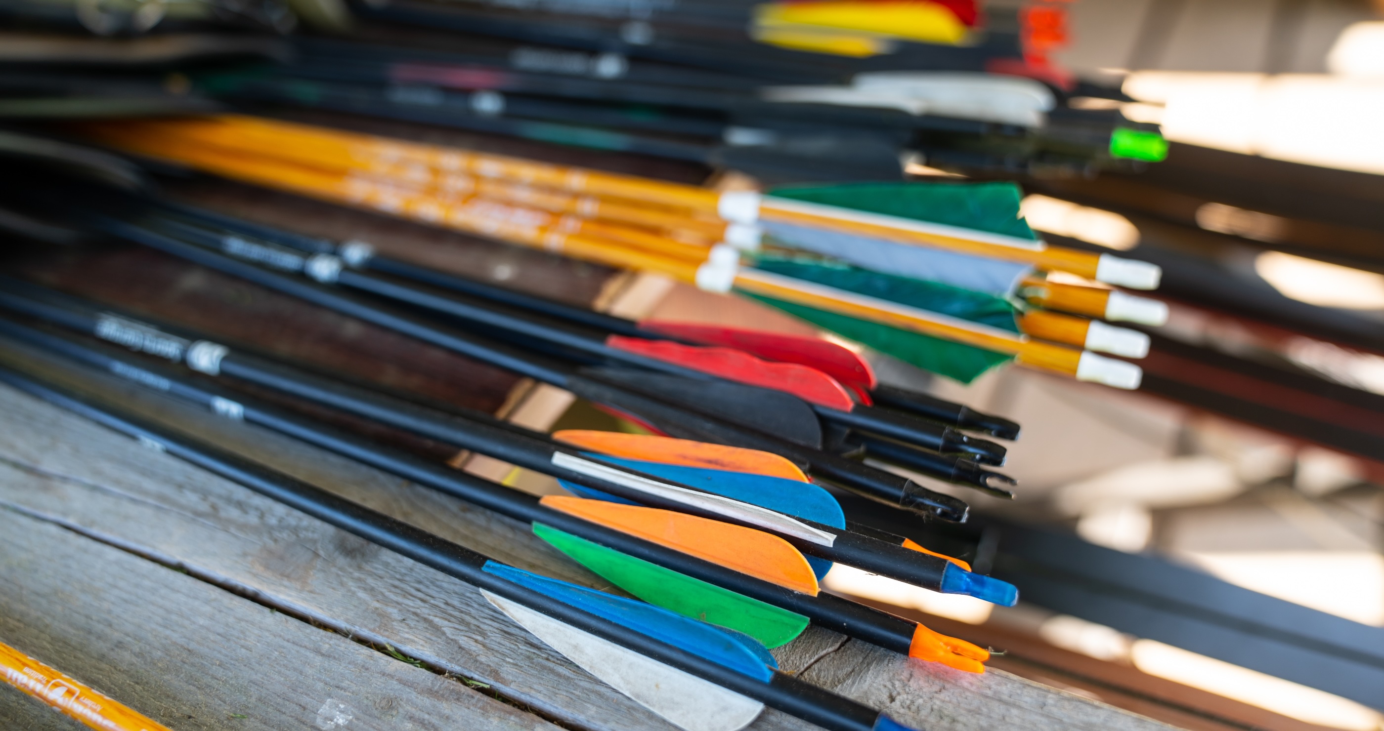 different archery bows