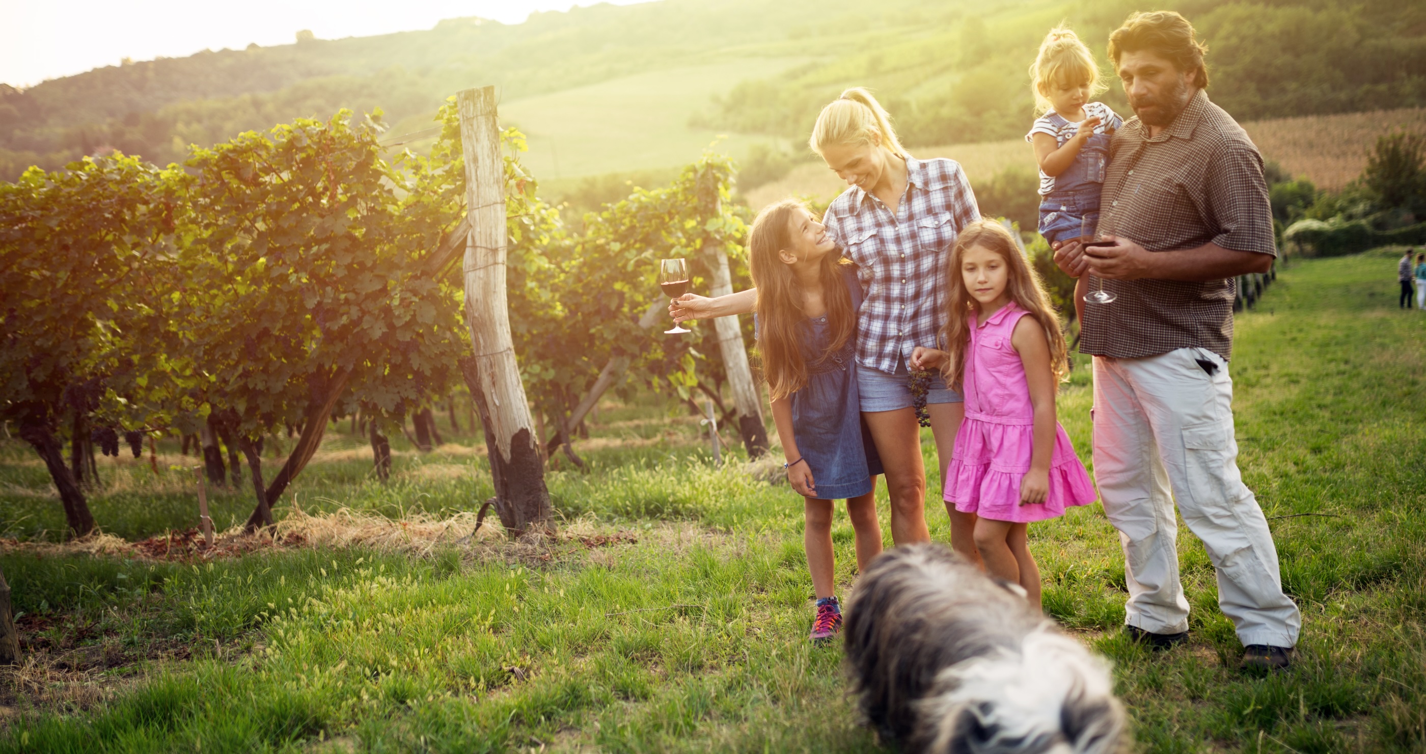 great mother's day ideas for an outdoorsy mom visit a winery