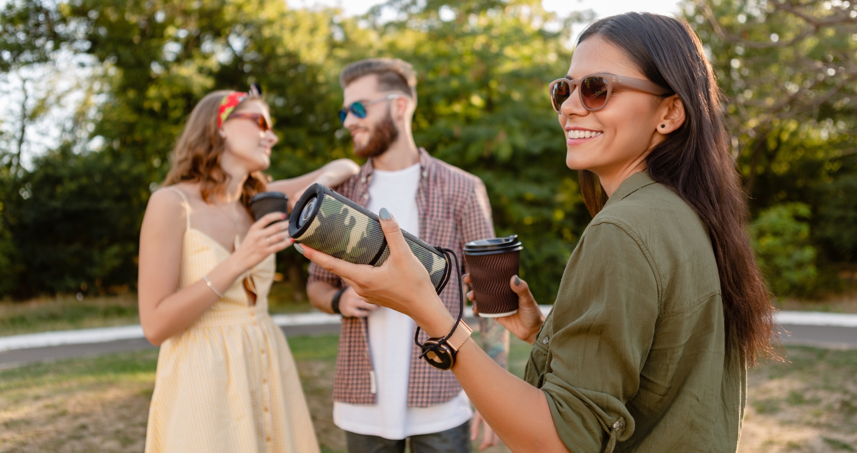 lake perfect picnic portable speaker