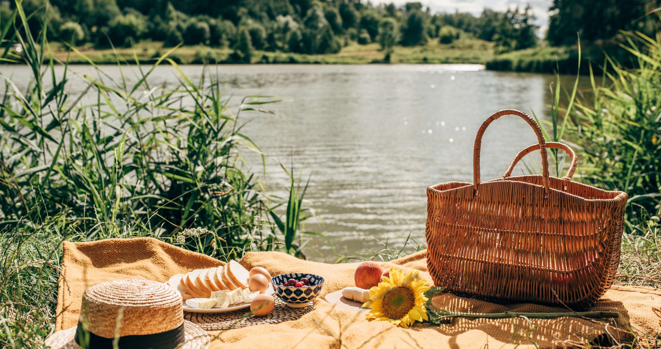 things you can do at a lake have a picnic