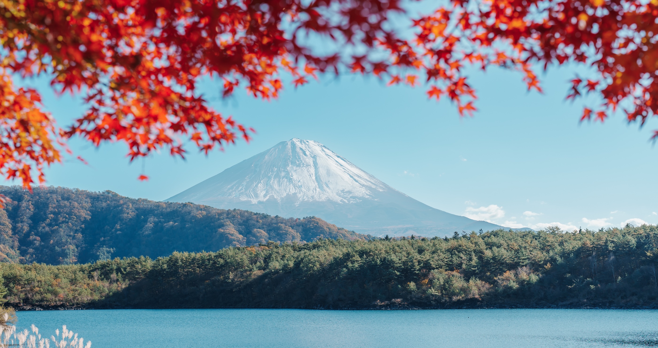Mt Fuji Japan