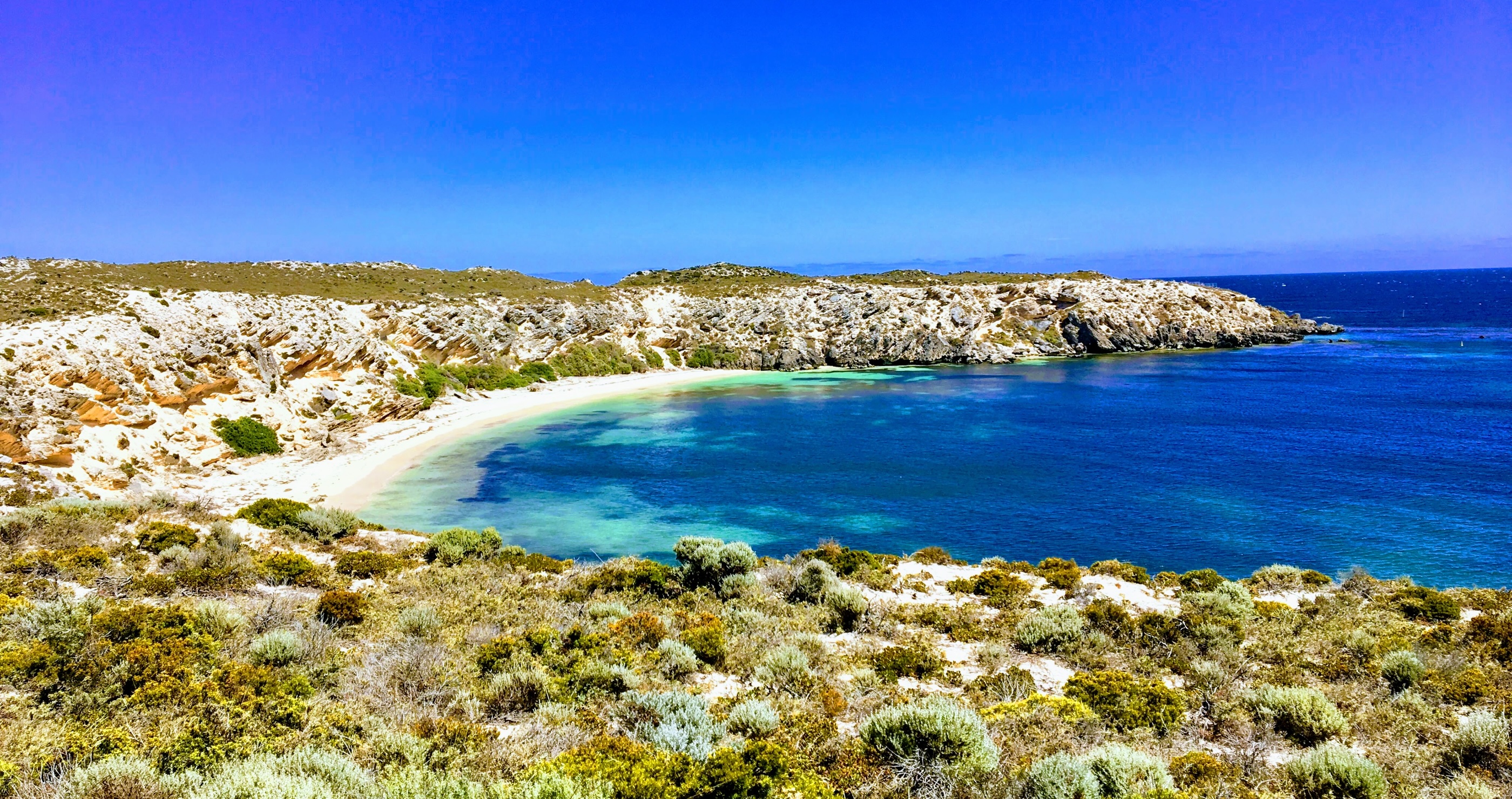 Rottsnest Island