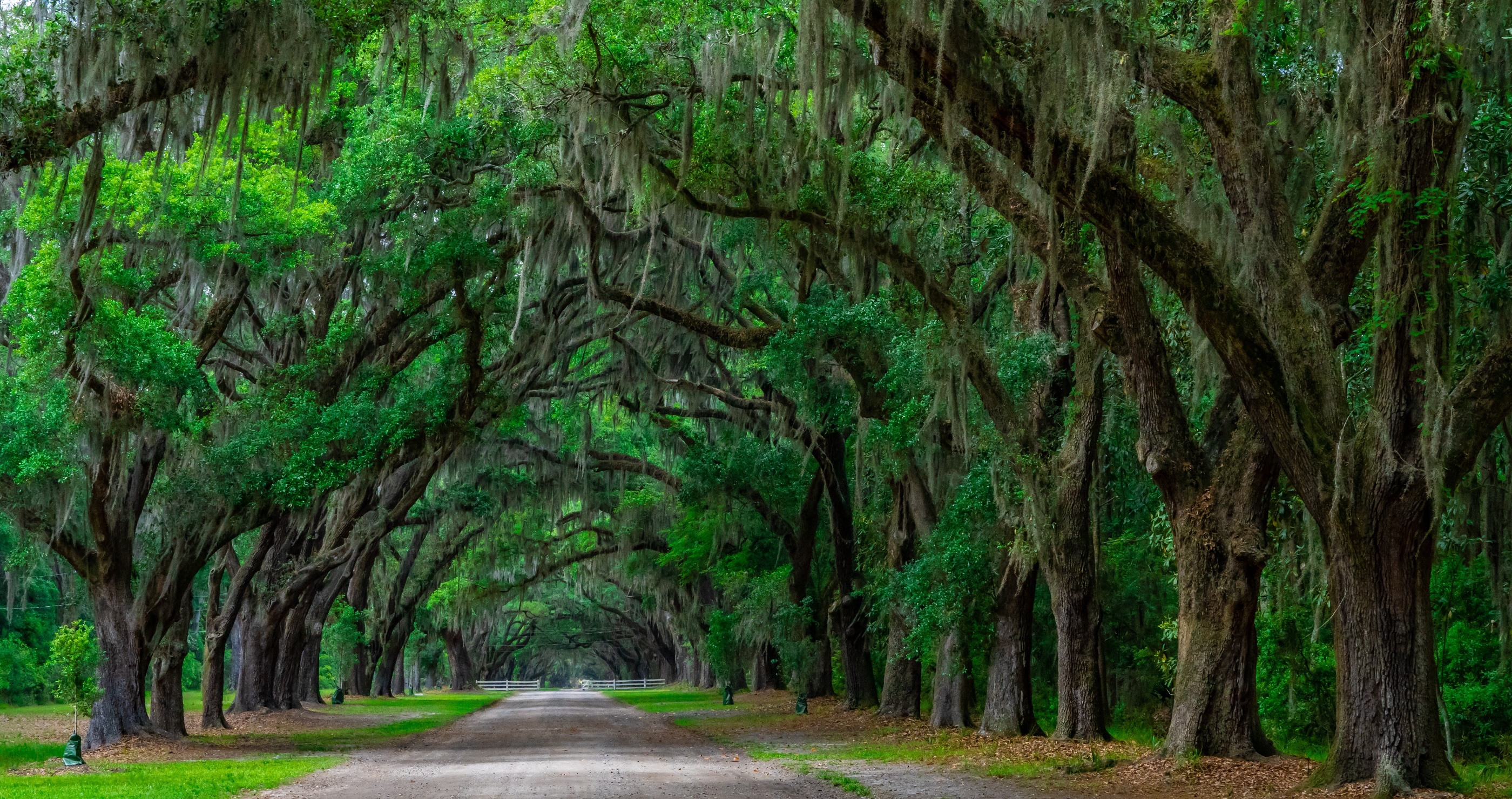 Savannah Georgia