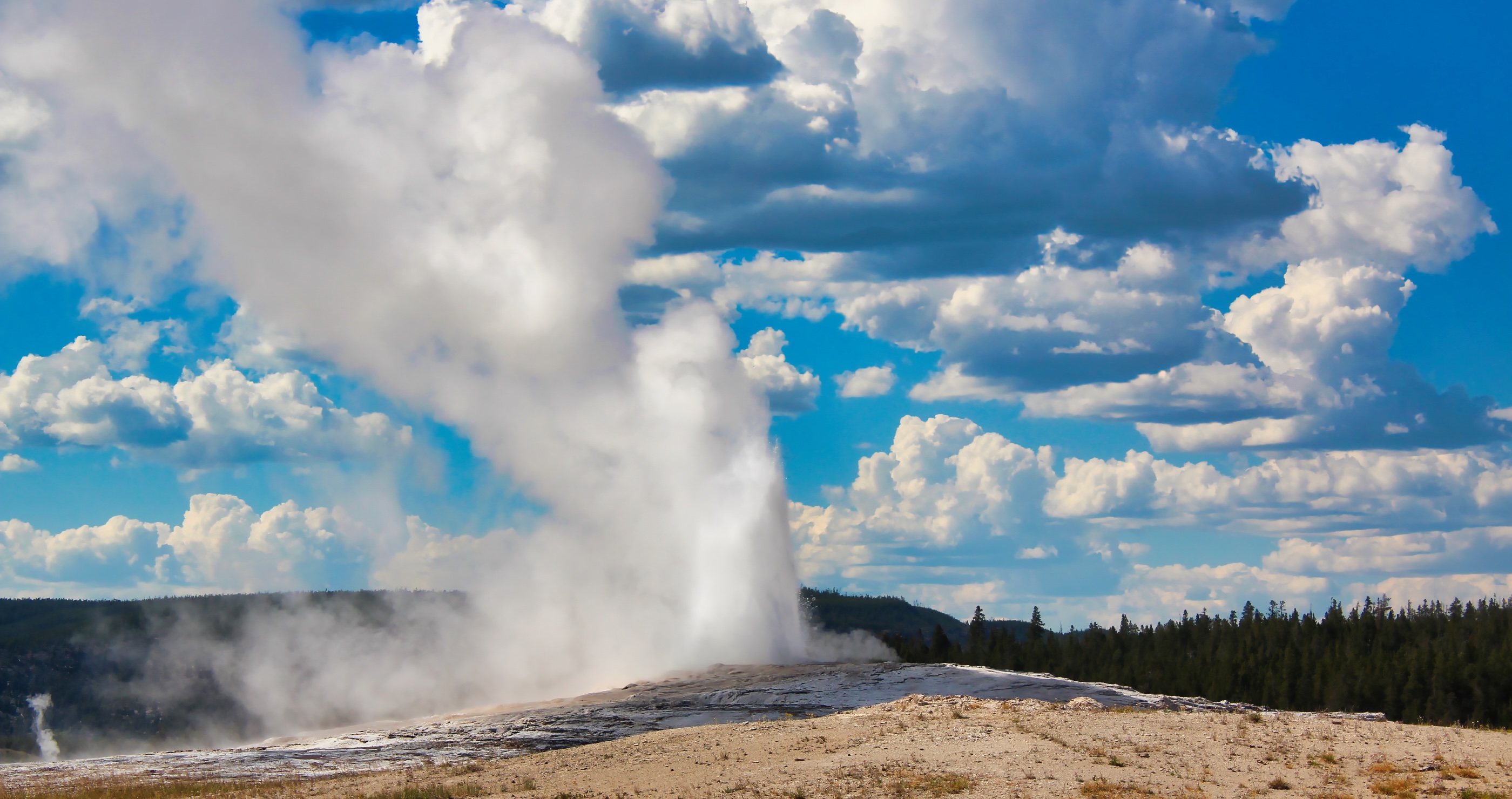 Second Bison Goring Of Yellowstone Happens As A New Jersey Man Gets Gored Near Old Faithful