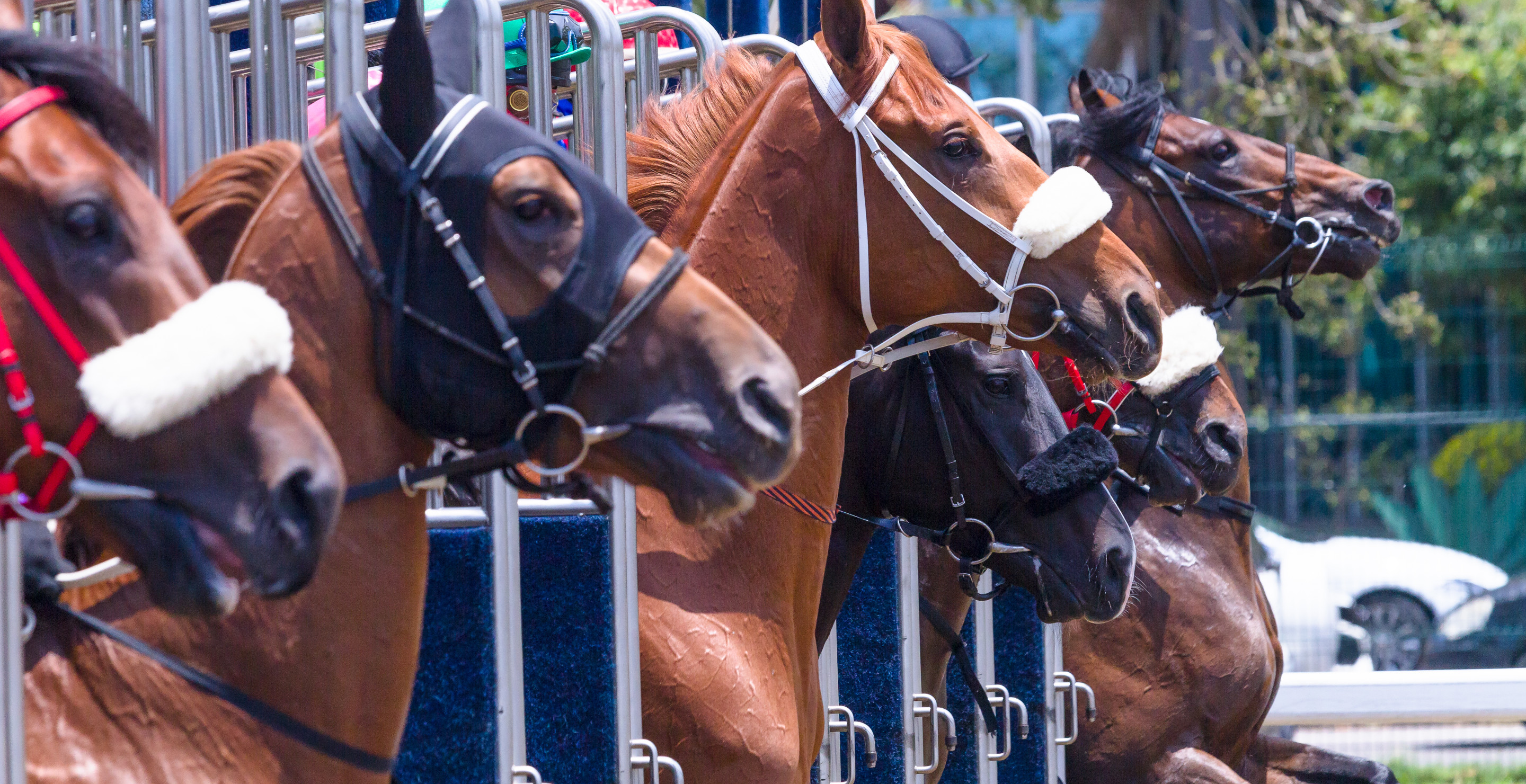Toddler Dies After Being Struck By A Starting Gate At A Horse Racing Event