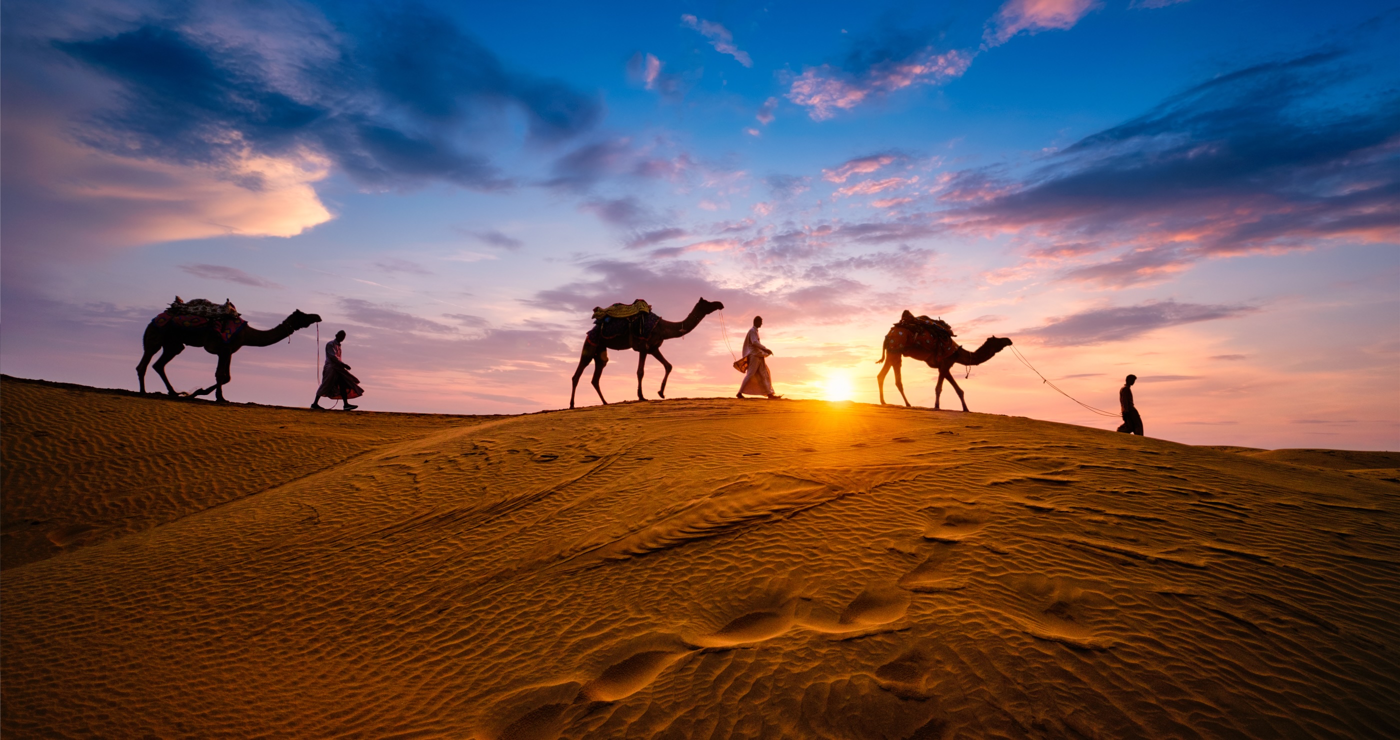 camels carrying things in the desert