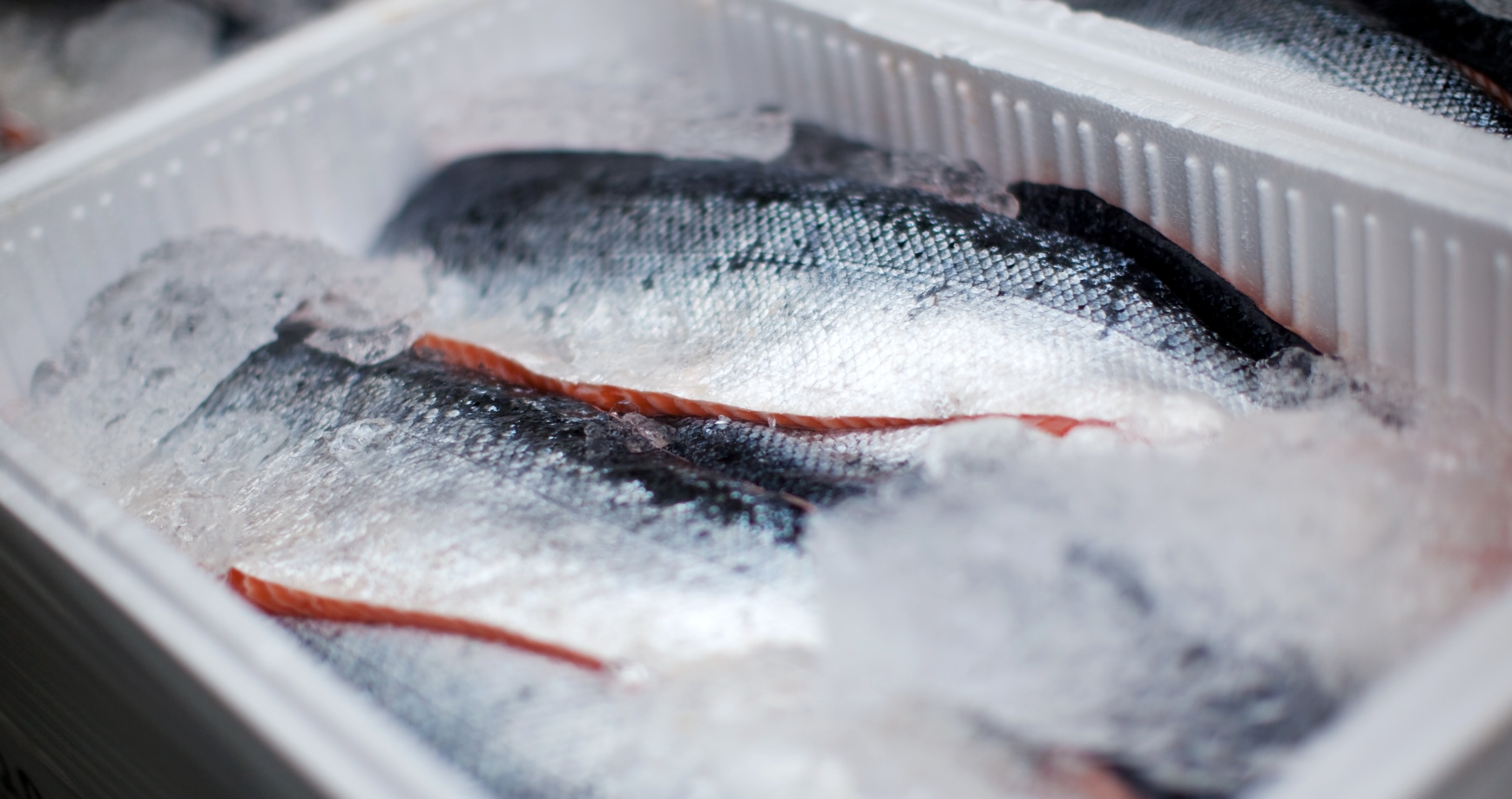 food and drink rules according to TSA seafood on ice