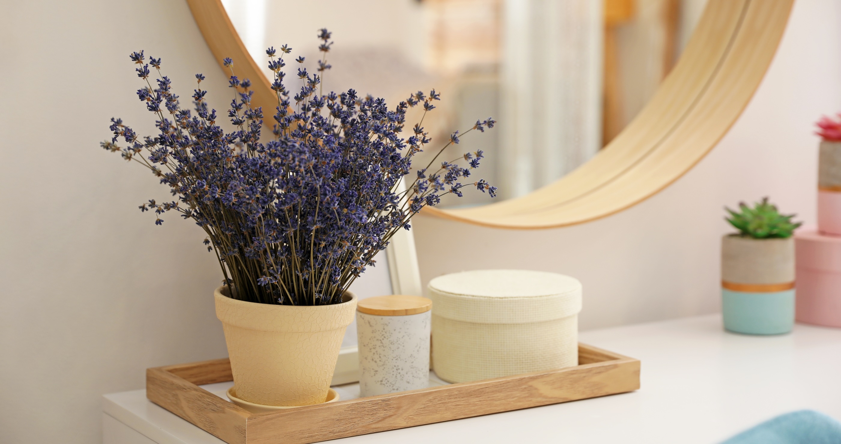 lavender is a houseplant that benefits your health