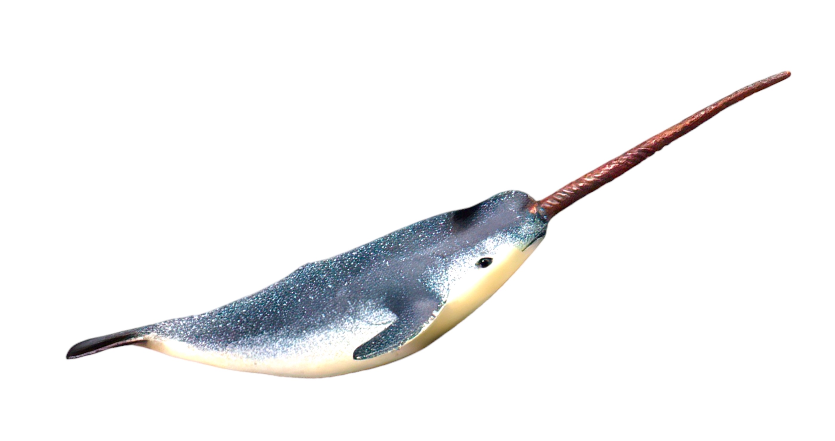narwhal facts