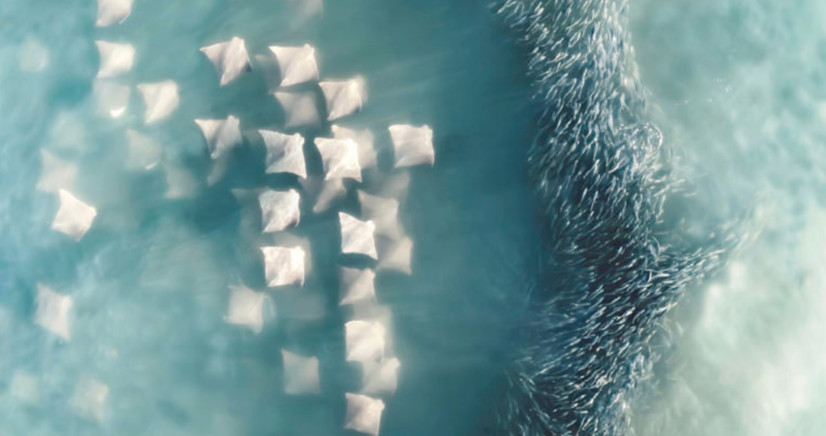 15 Of My Favorite Shots From This Year's International Aerial Photographer of the Year Competition