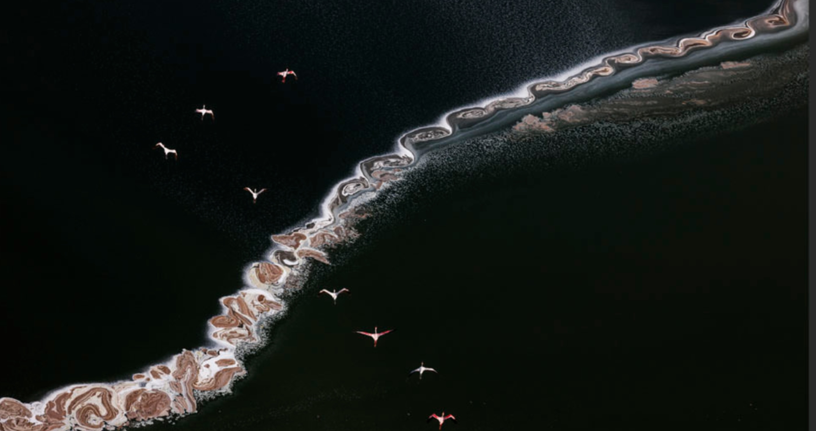 aerial photography competition