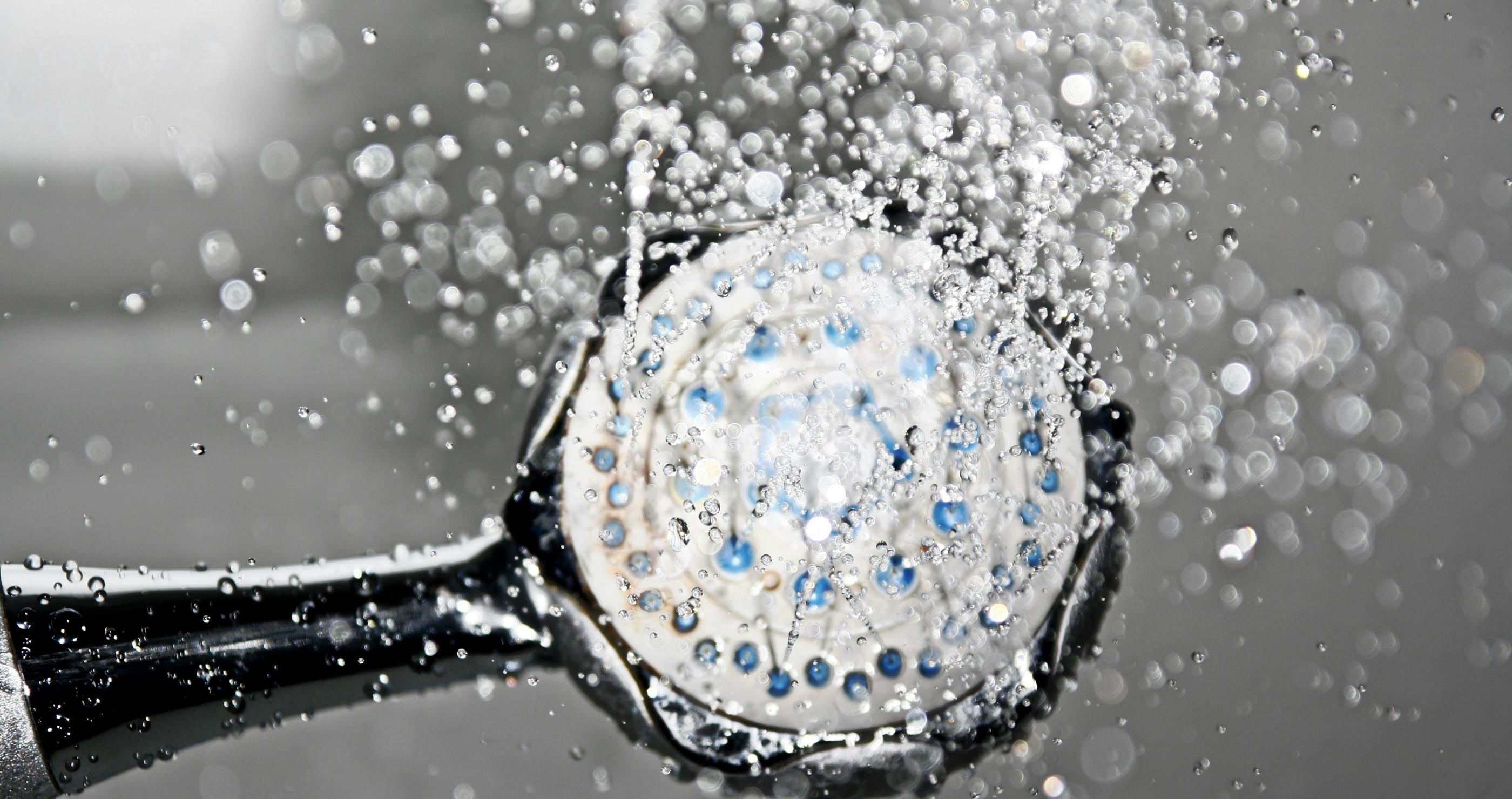 dirtiest places in your hotel room shower heads