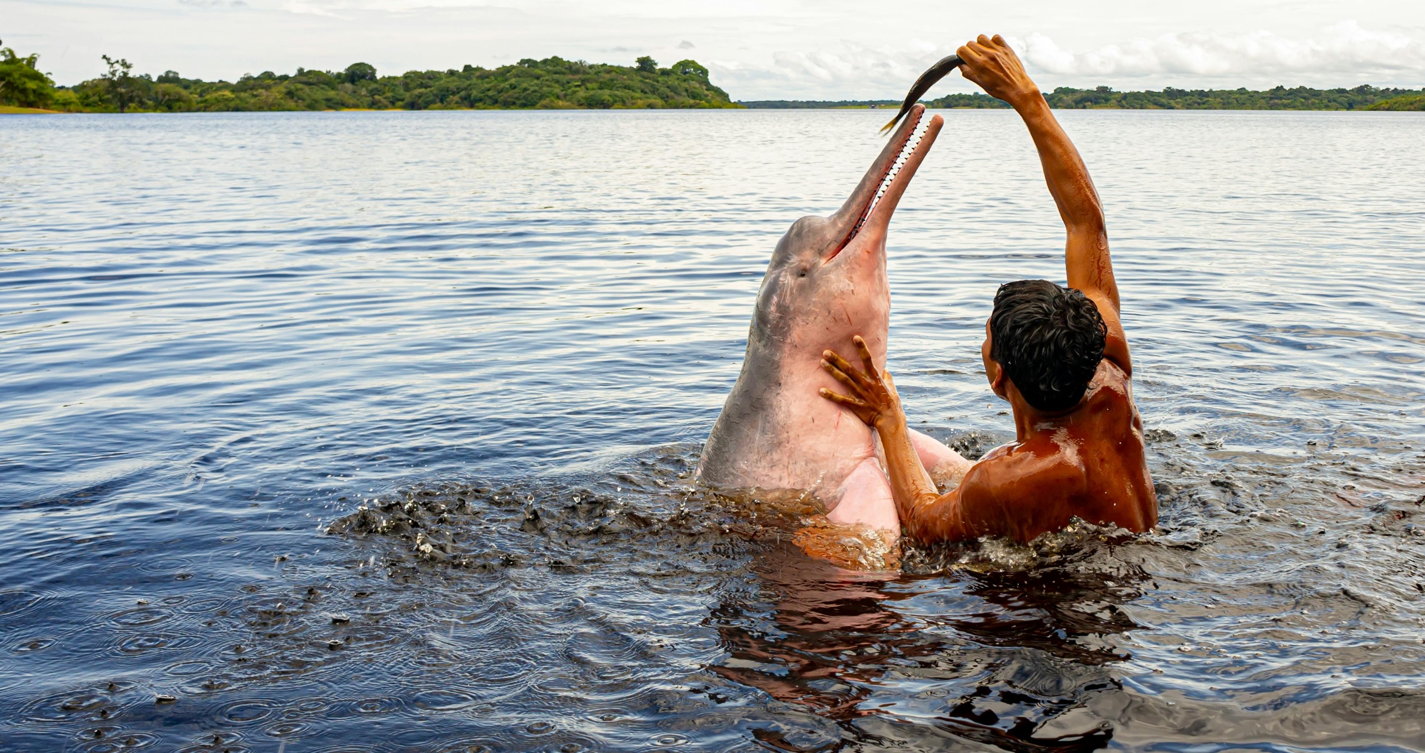freshwater dolphin