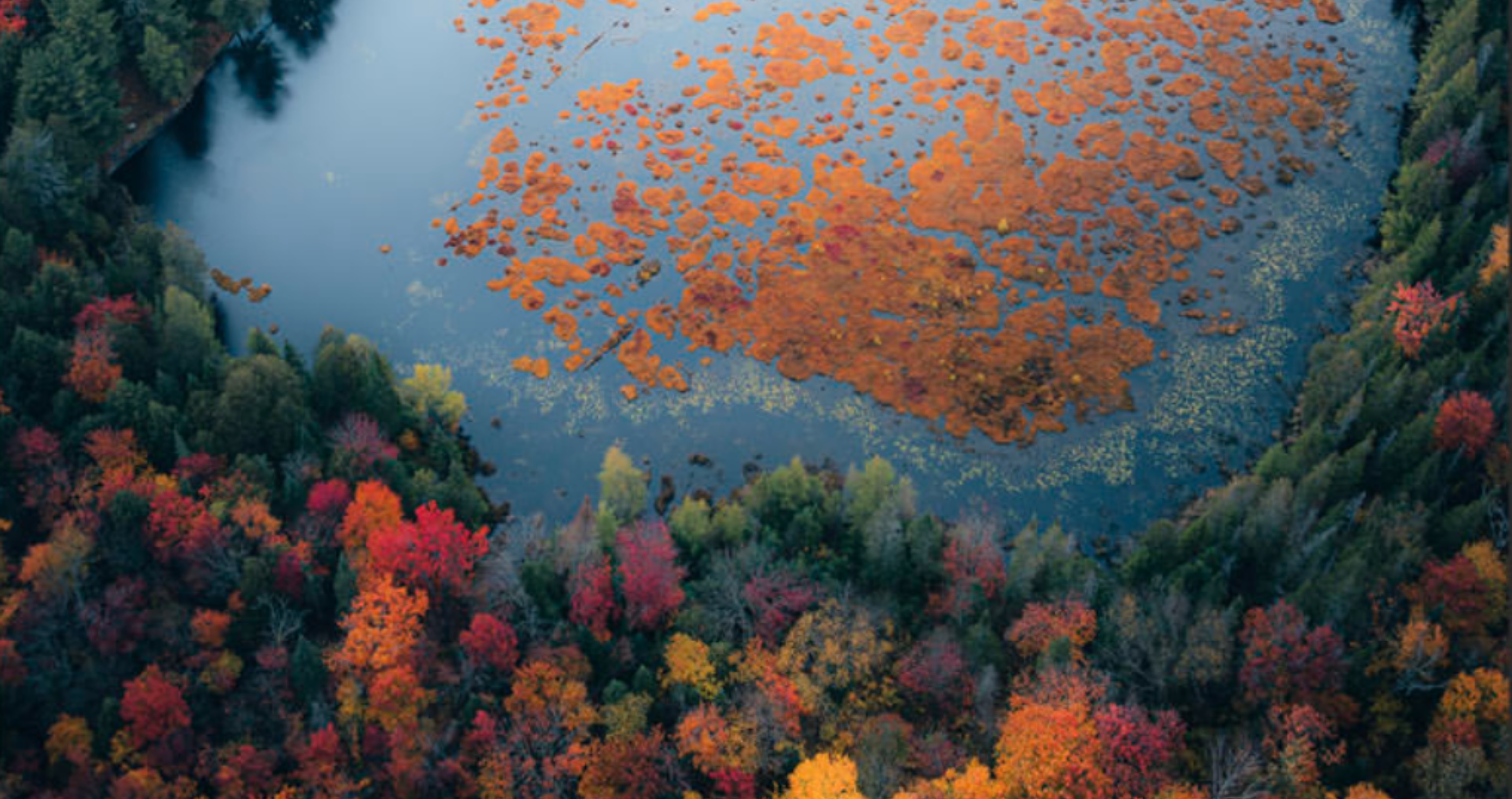 stunning photography