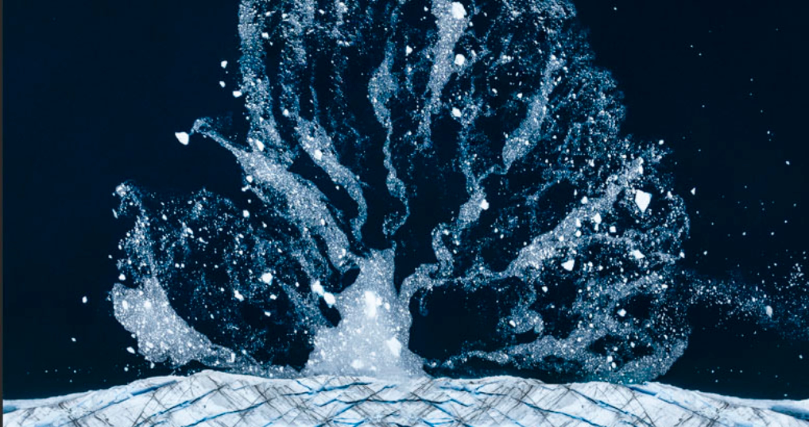 tree of ice