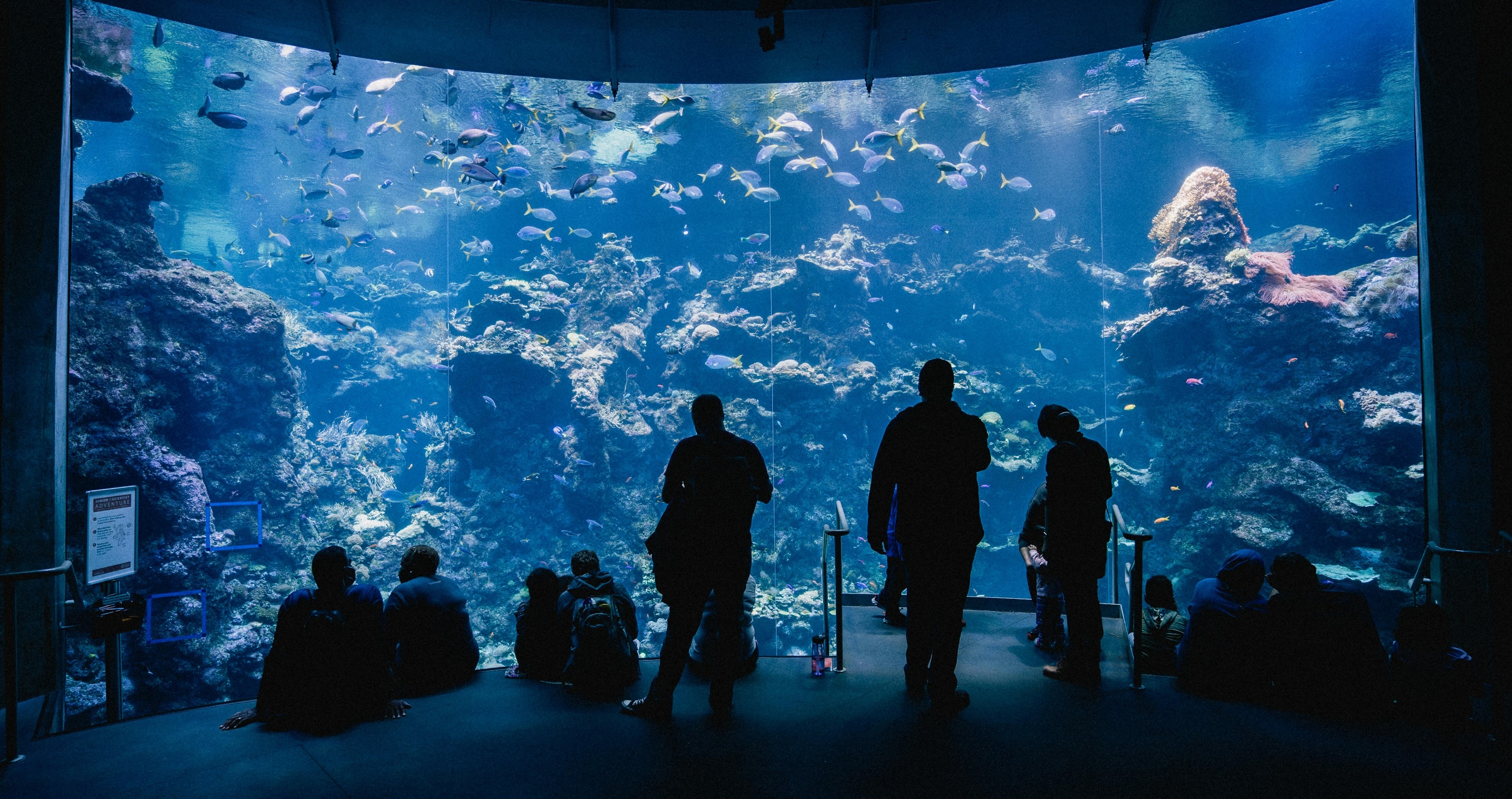 A Mom Shares The Terrifying Moment Her Son Was Attacked By A Creature In The Aquarium's 'Touch Tank'