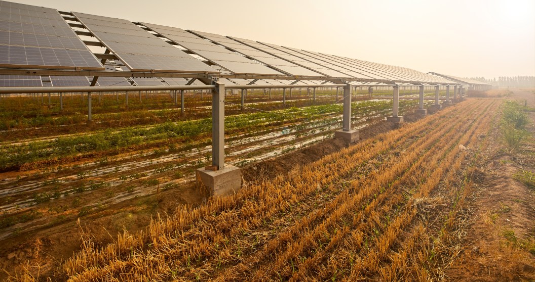 Combo Agriculture-Solar Farm Is Now Having Trouble Selling Its Power