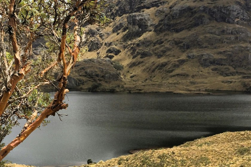 Ecuador's New Law Surrounding Protected Areas Sparks Debate