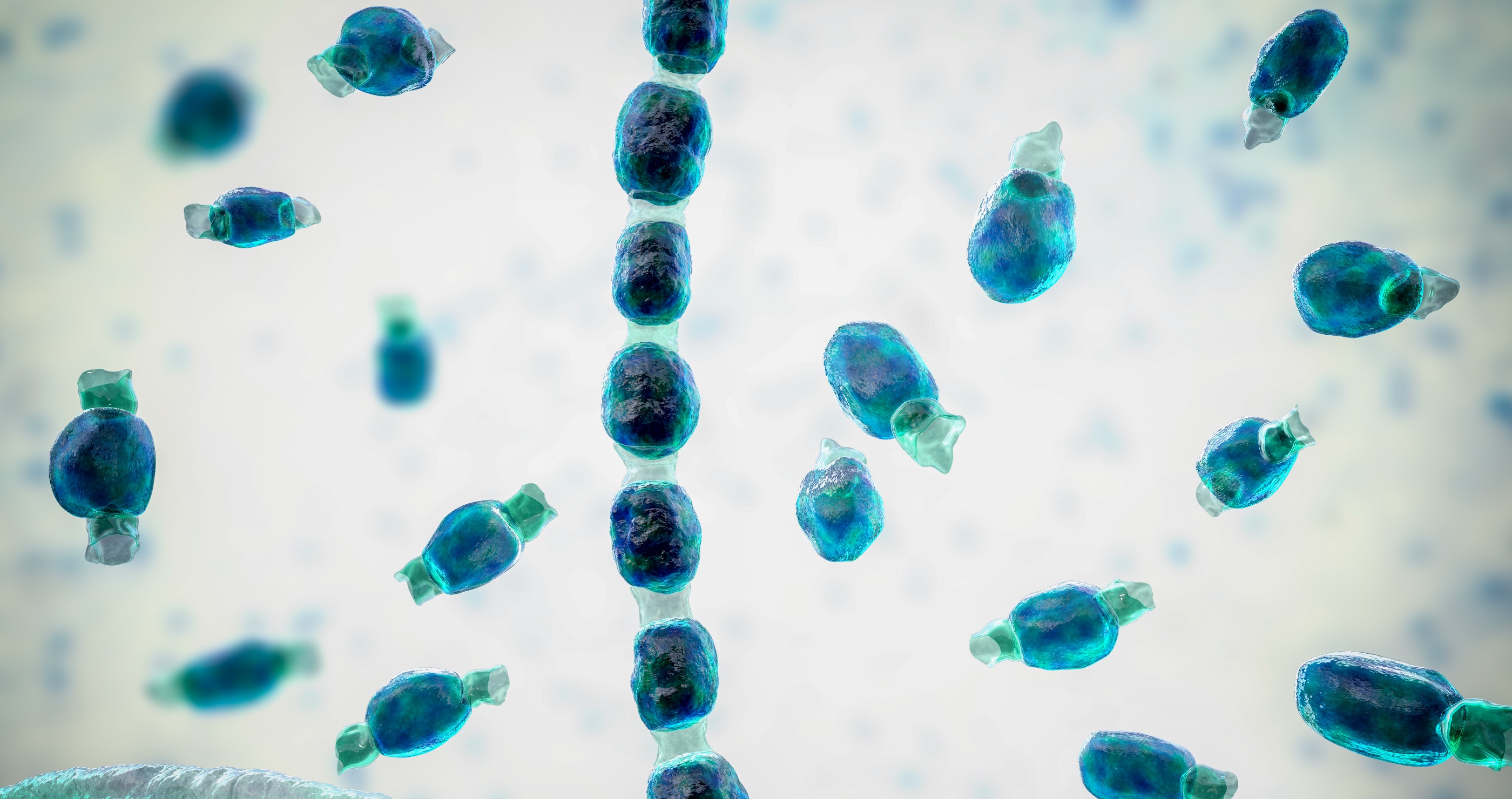 Experts Reveal Why California’s Valley Fever Is Spiking