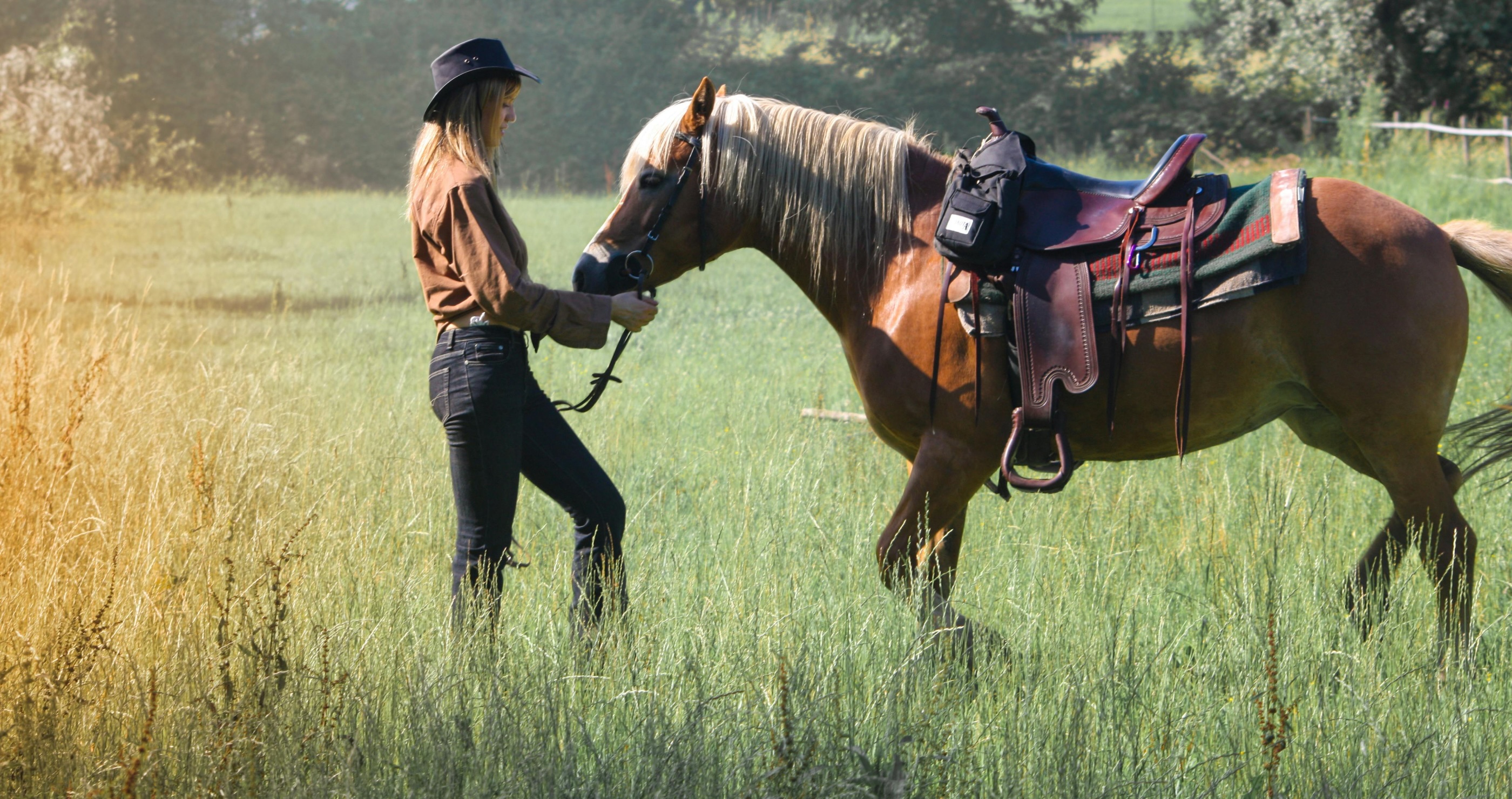 How A Cowgirl Sparked Controversy Over The Wild Horse Problem In Arizona