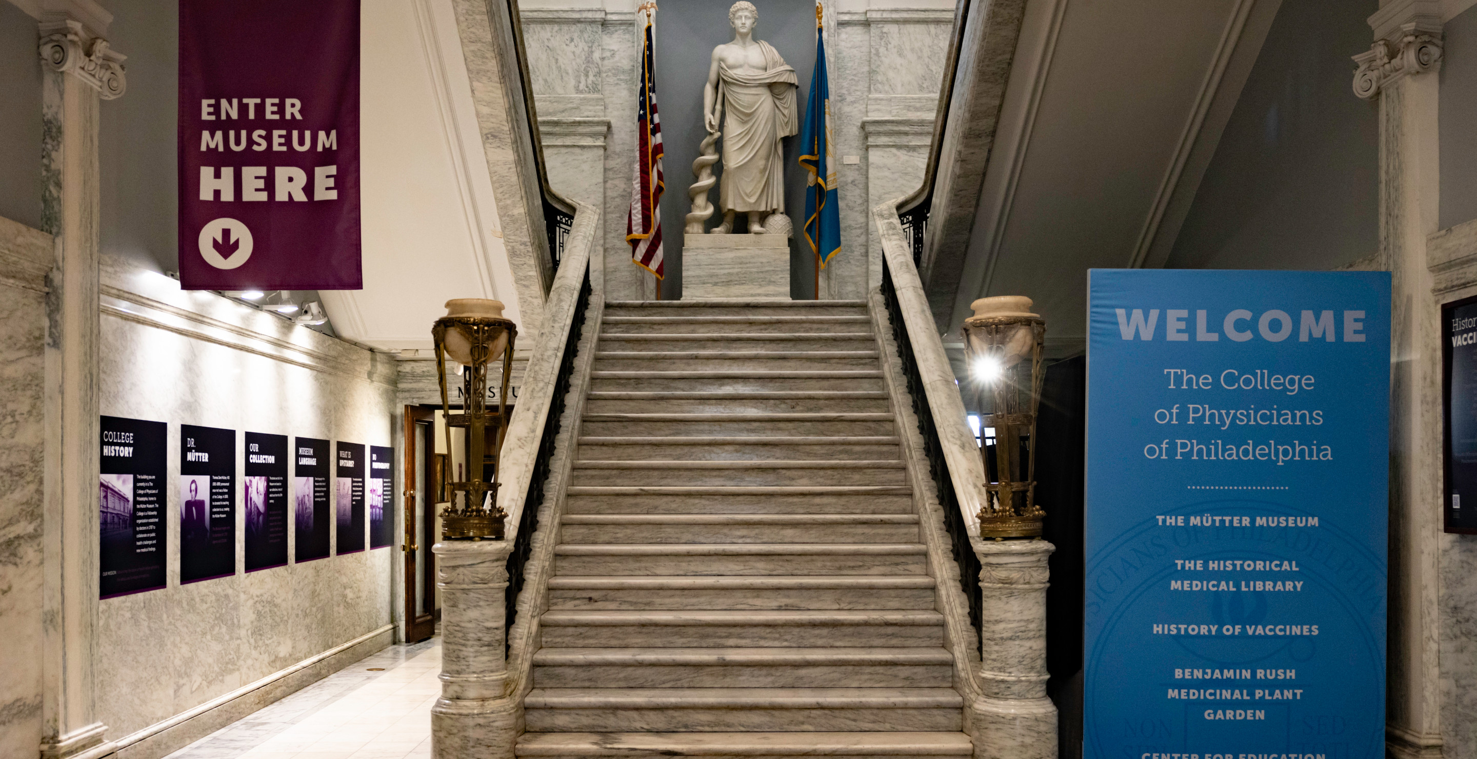 mutter museum
