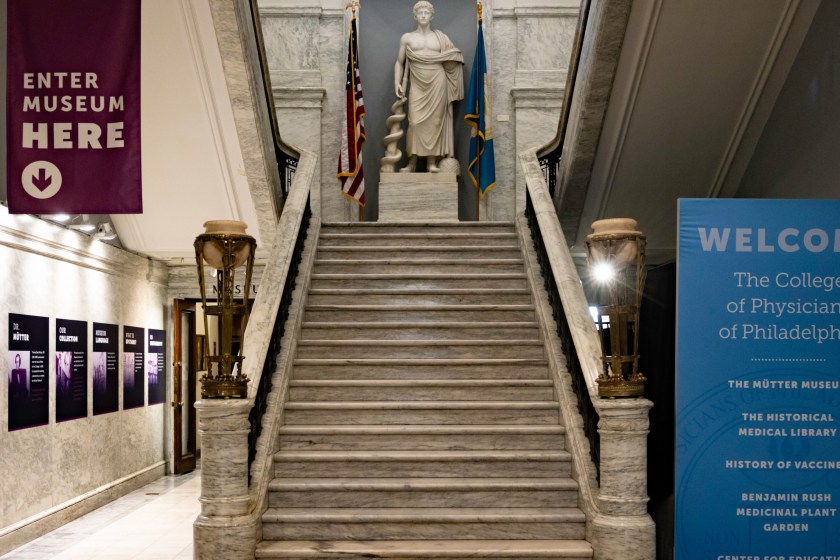 mutter museum