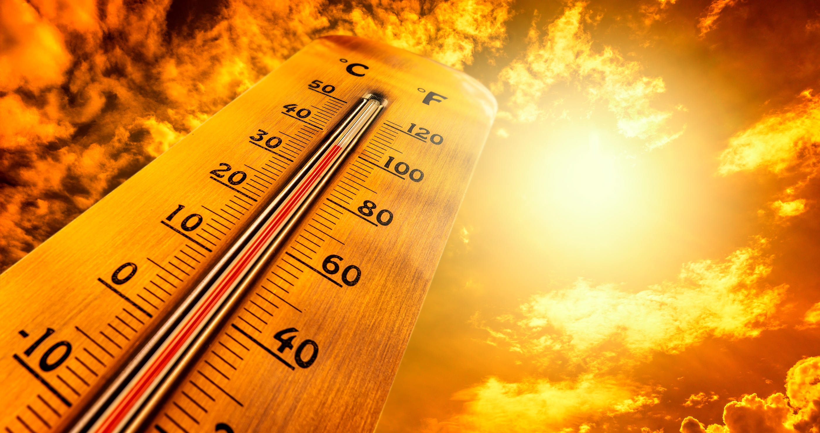 New Study Reveals Living In Areas With Frequent Heat Waves Accelerates Aging