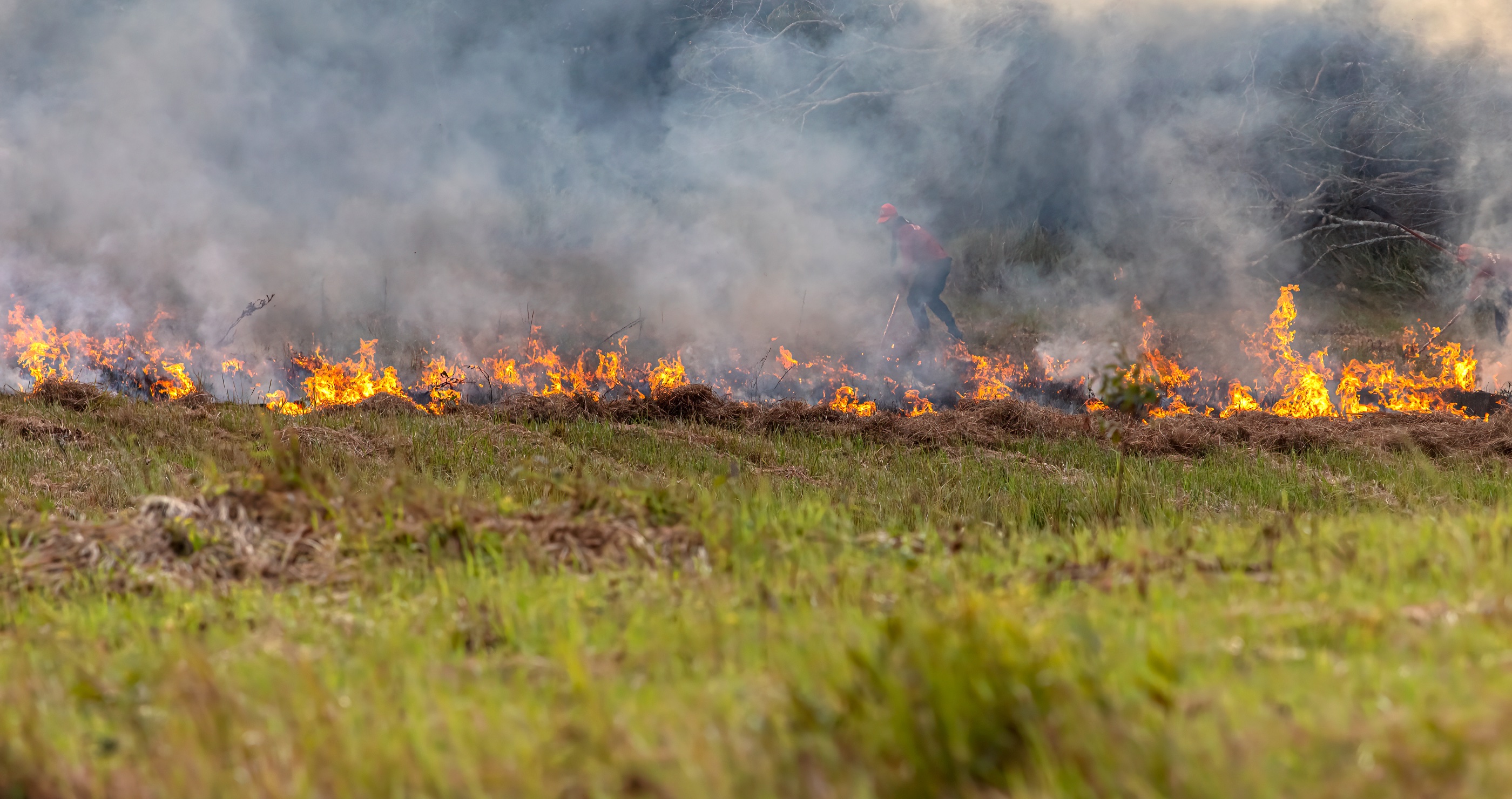 Red Canyon Fire Continues To Spread, Prompting More Evacuation Alerts