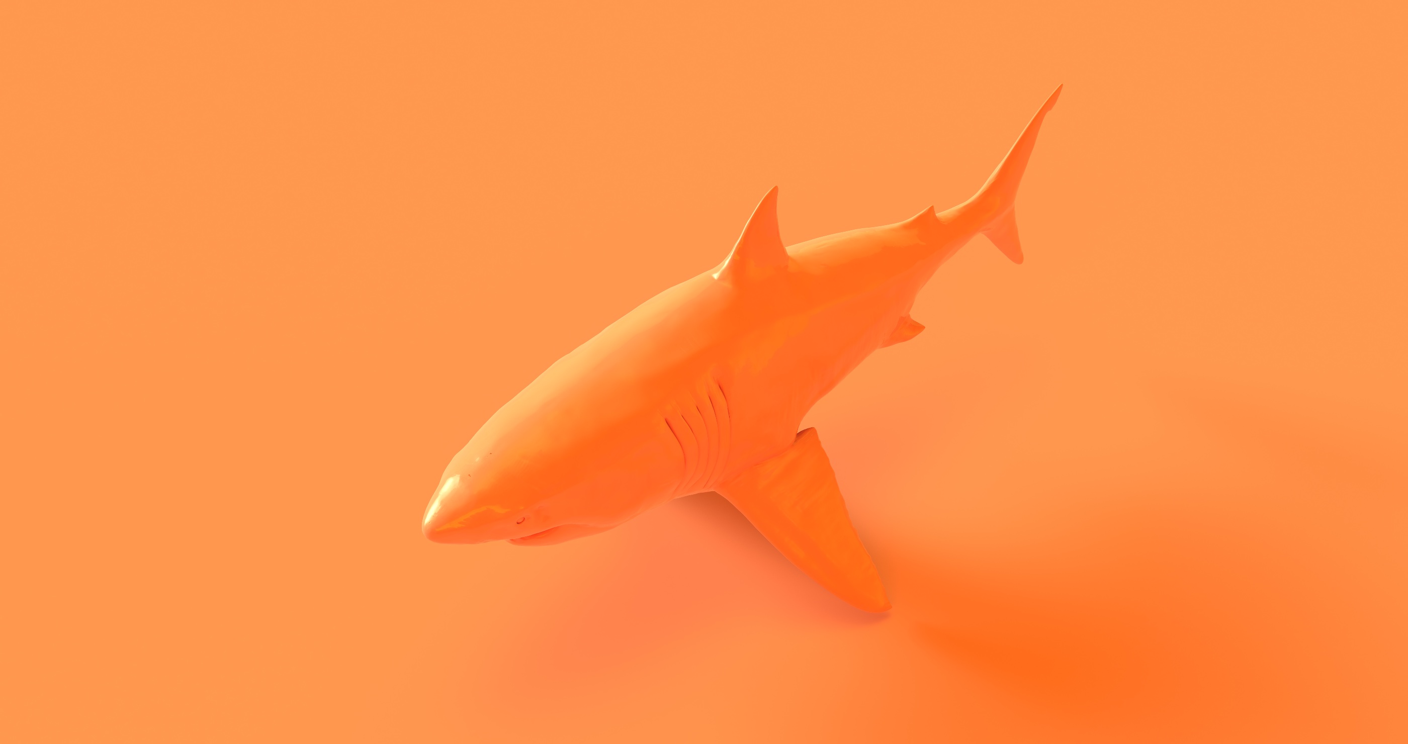 Scientists Surprised To Discover Bright Orange Shark