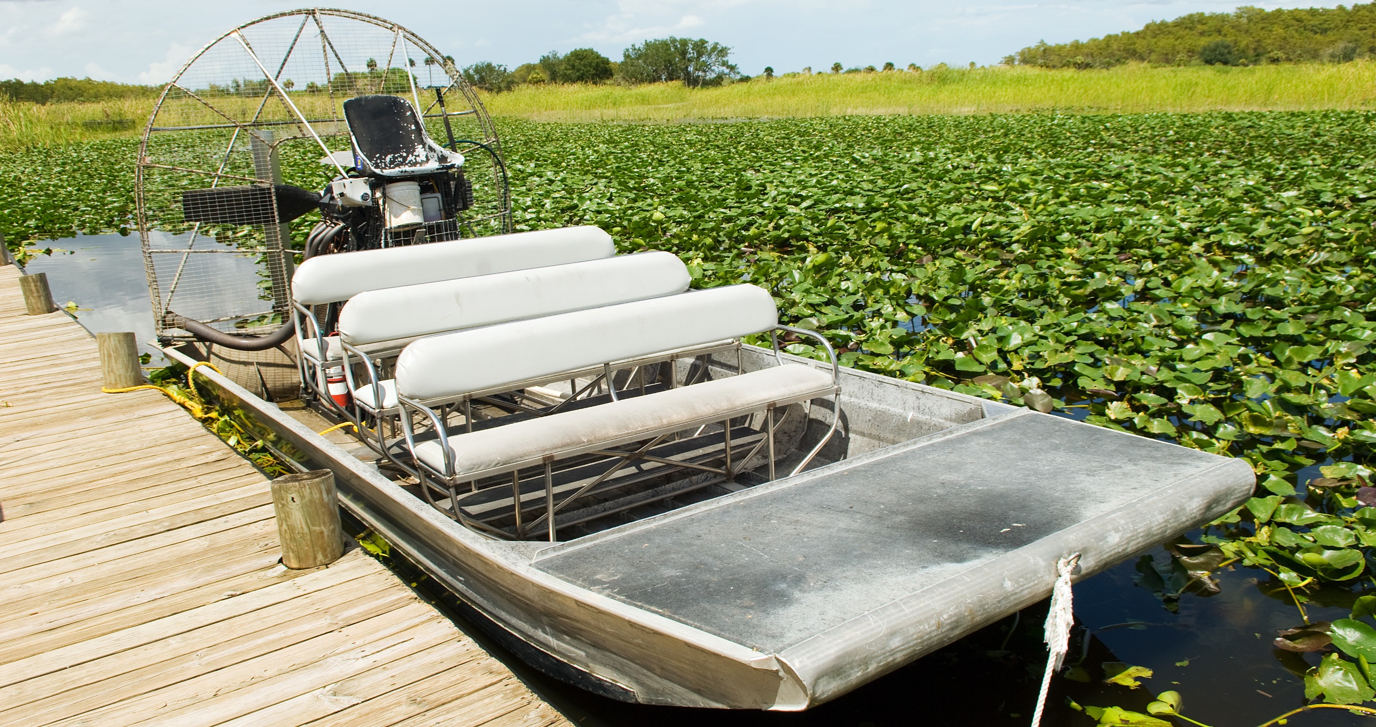 best places to encounter wildlife in the US Encounter Alligators In The Florida Wetlands&nbsp;