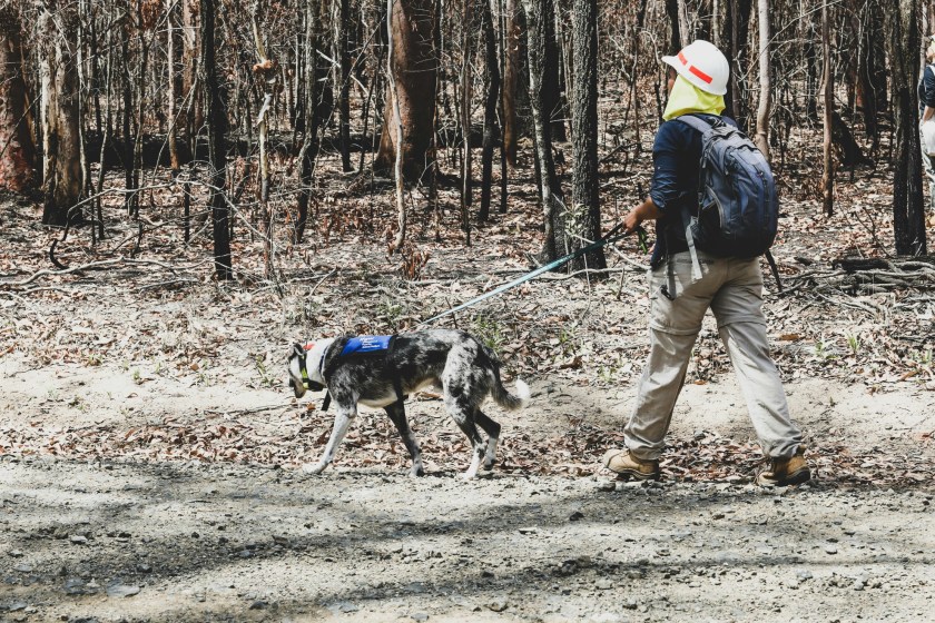 family of missing hiker from Minnesota are still holding out hope for his safe return
