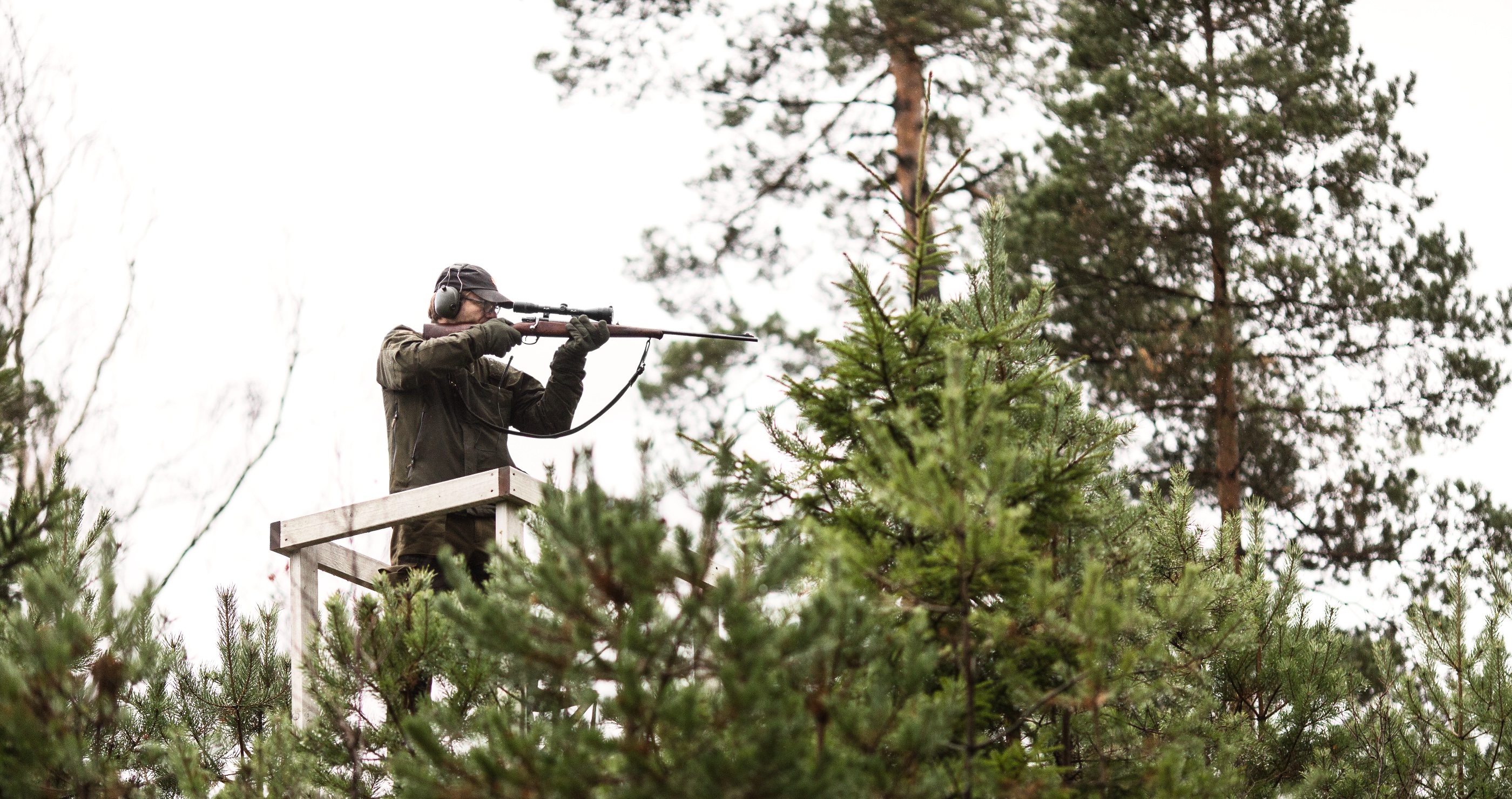 Experts Urge Hunters To Prioritize Tree Stand Safety As Fall Hunting Begins