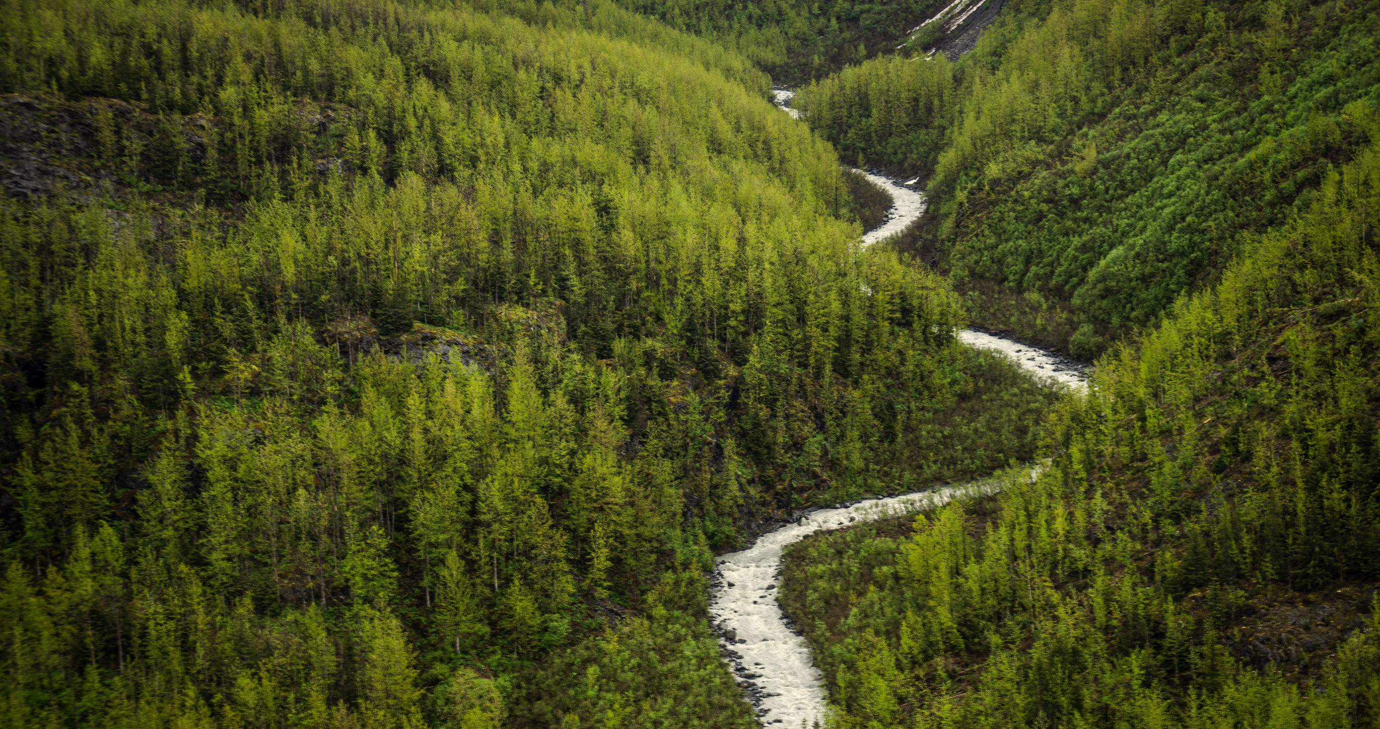New Zealand Police Investigate How Man And Children Survived In Wilderness For Years Undetected