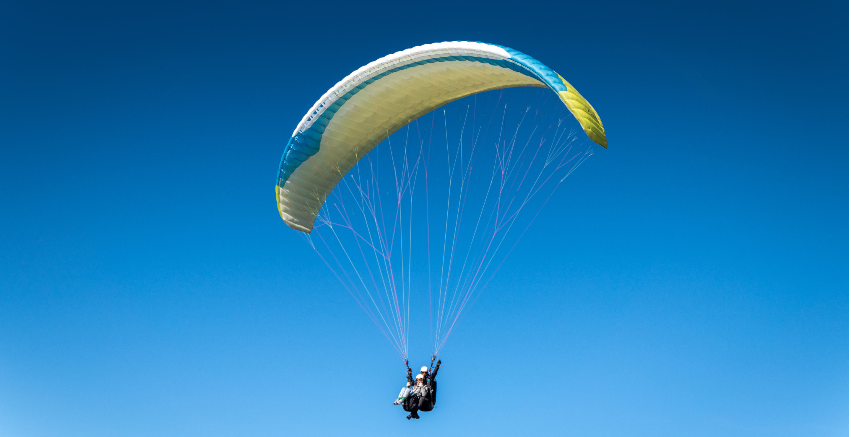 paraglider