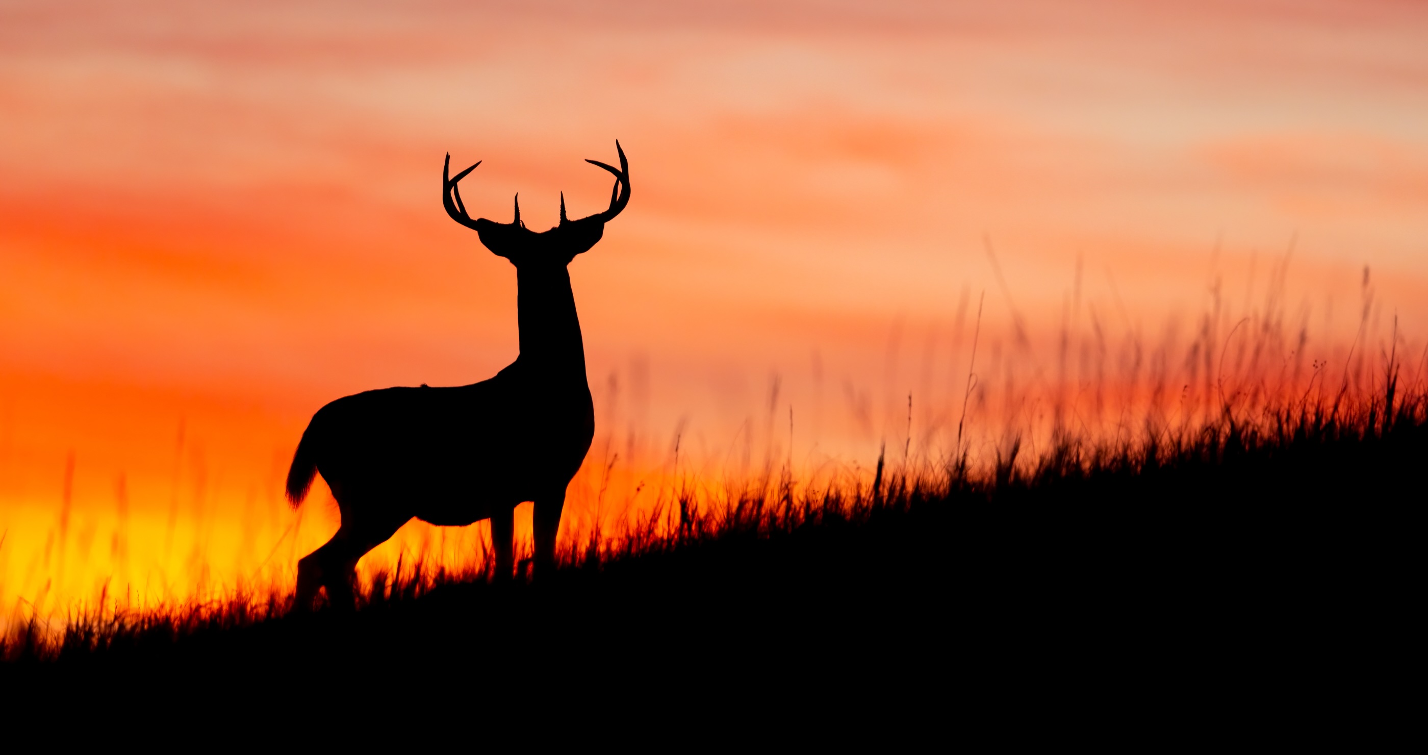 Anti-Hunter Turned Hunter- The Beginning Years