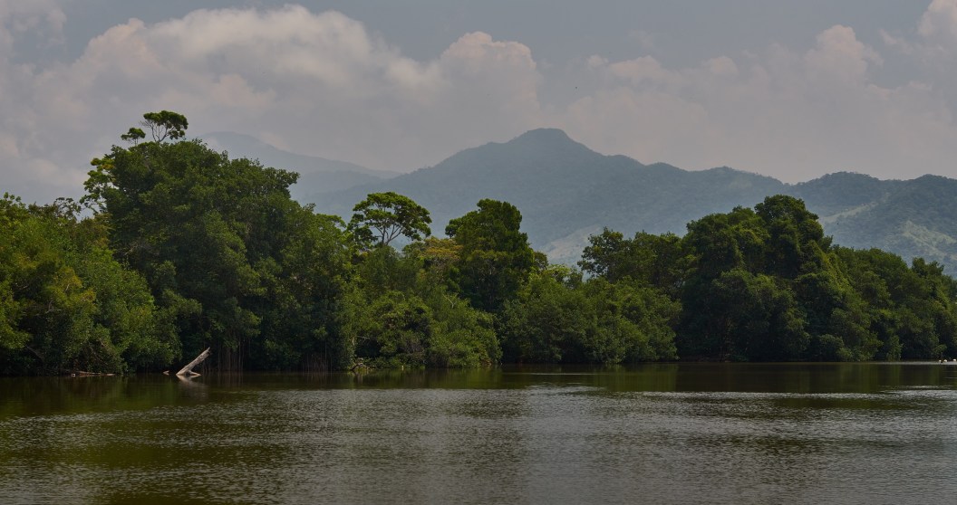 Tensions Swirl As Officials Strive To Protect This Honduran Lagoon