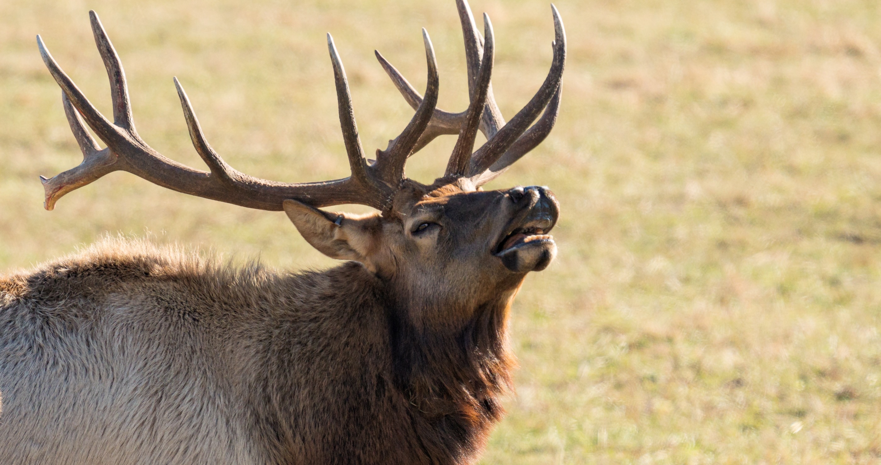The Tragic Truth Behind What Happened To Missing Elk Hunters In Colorado