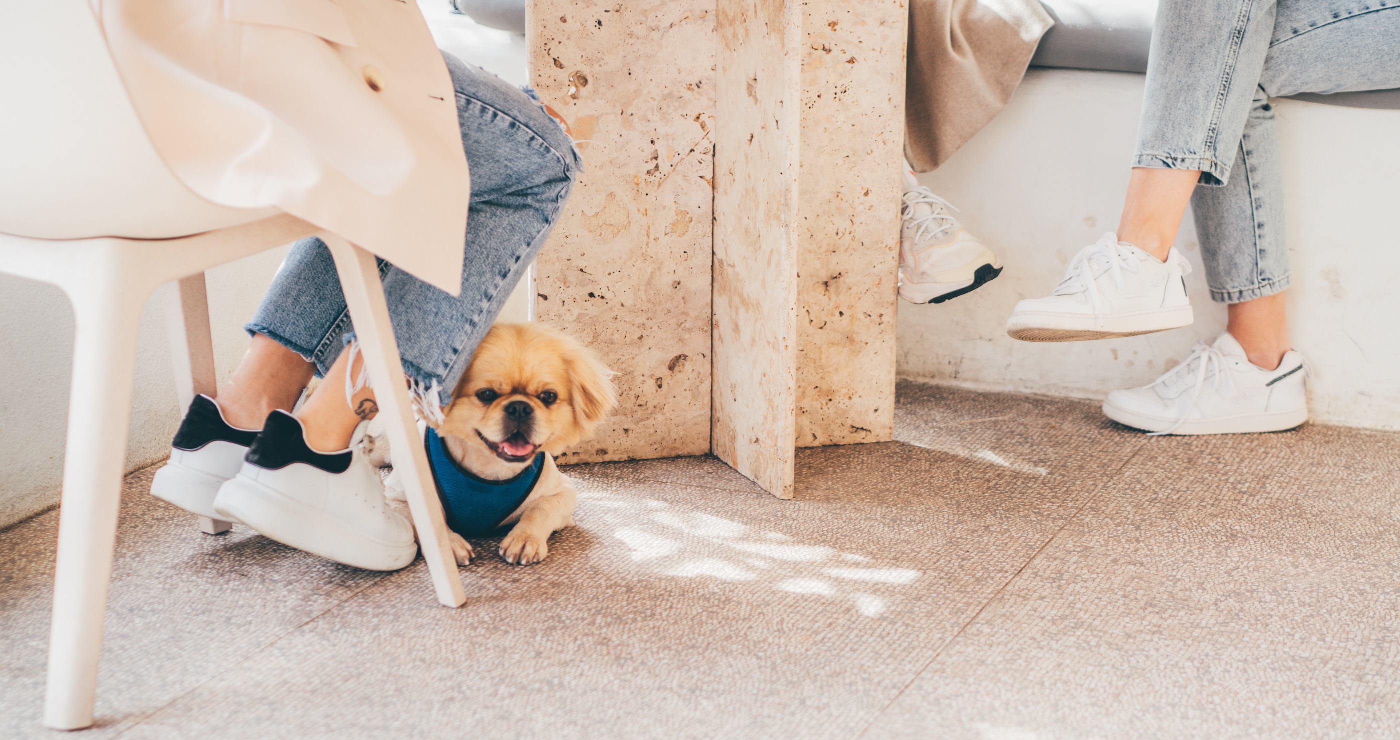 Mother Furious After Restaurant Didn’t Kick Customer Out After Their Dog Bit Her Son