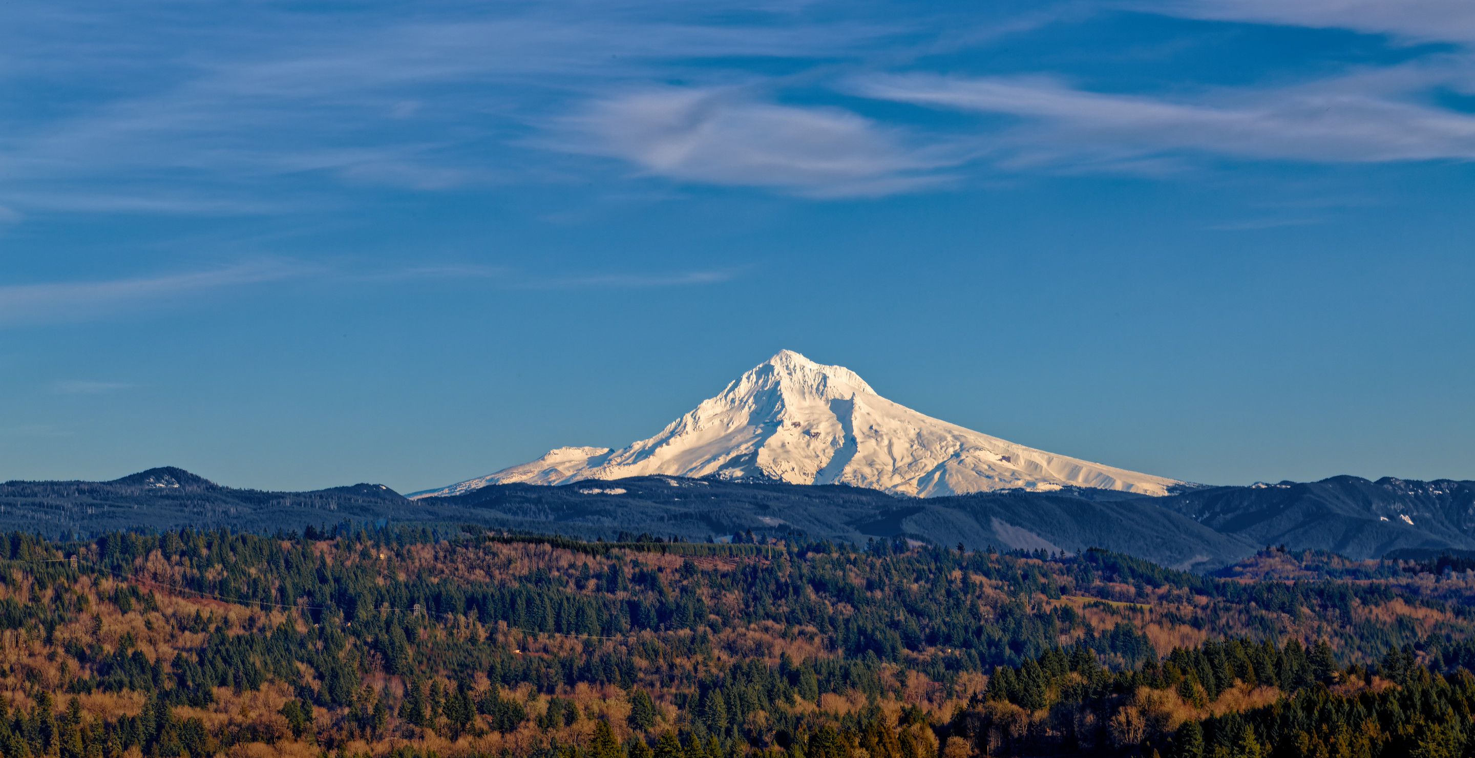 Remains Of Hunter Who Went Missing In Mount Hood National Forest Discovered